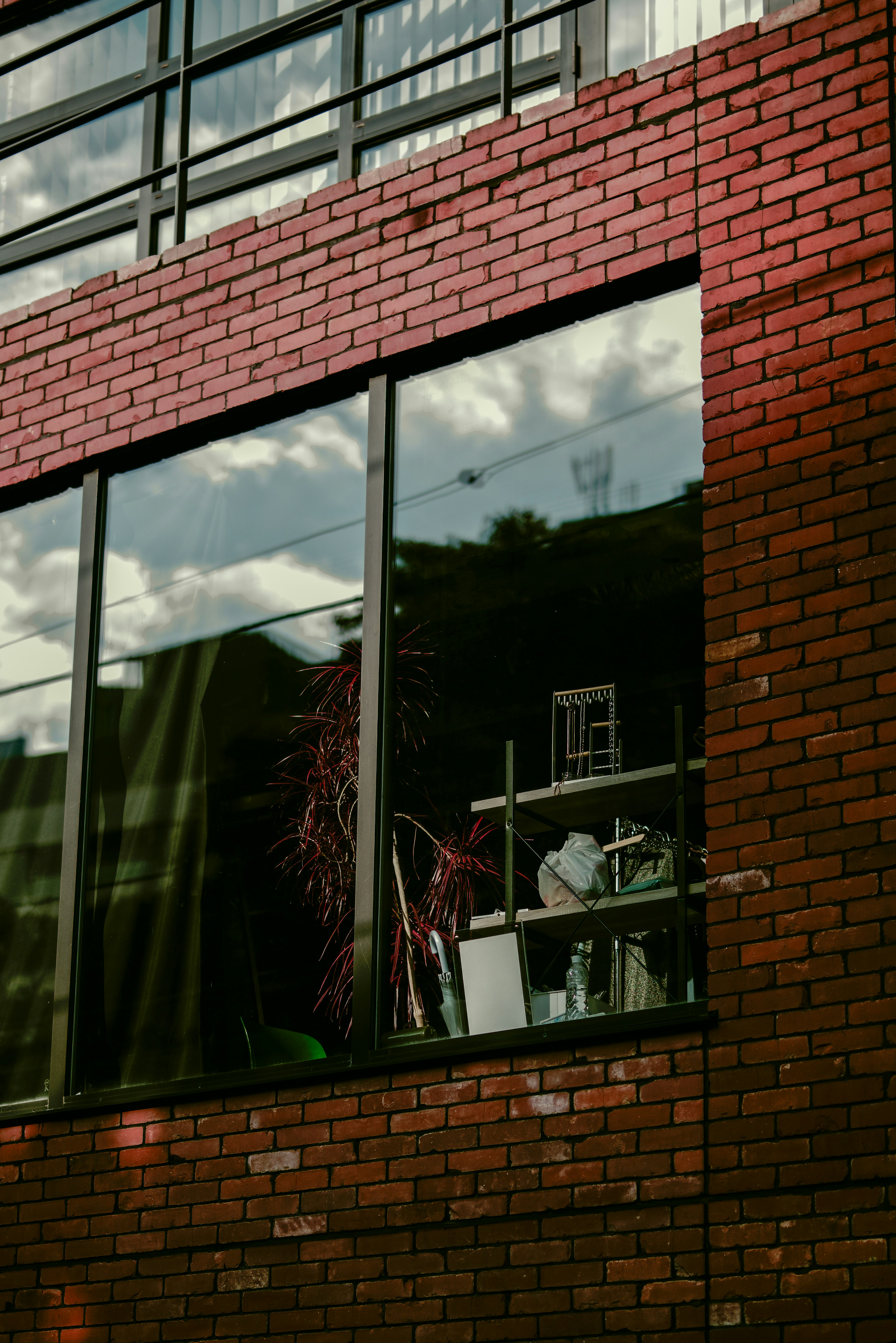 Reflejo del cielo y plantas de interior en una ventana de ladrillo