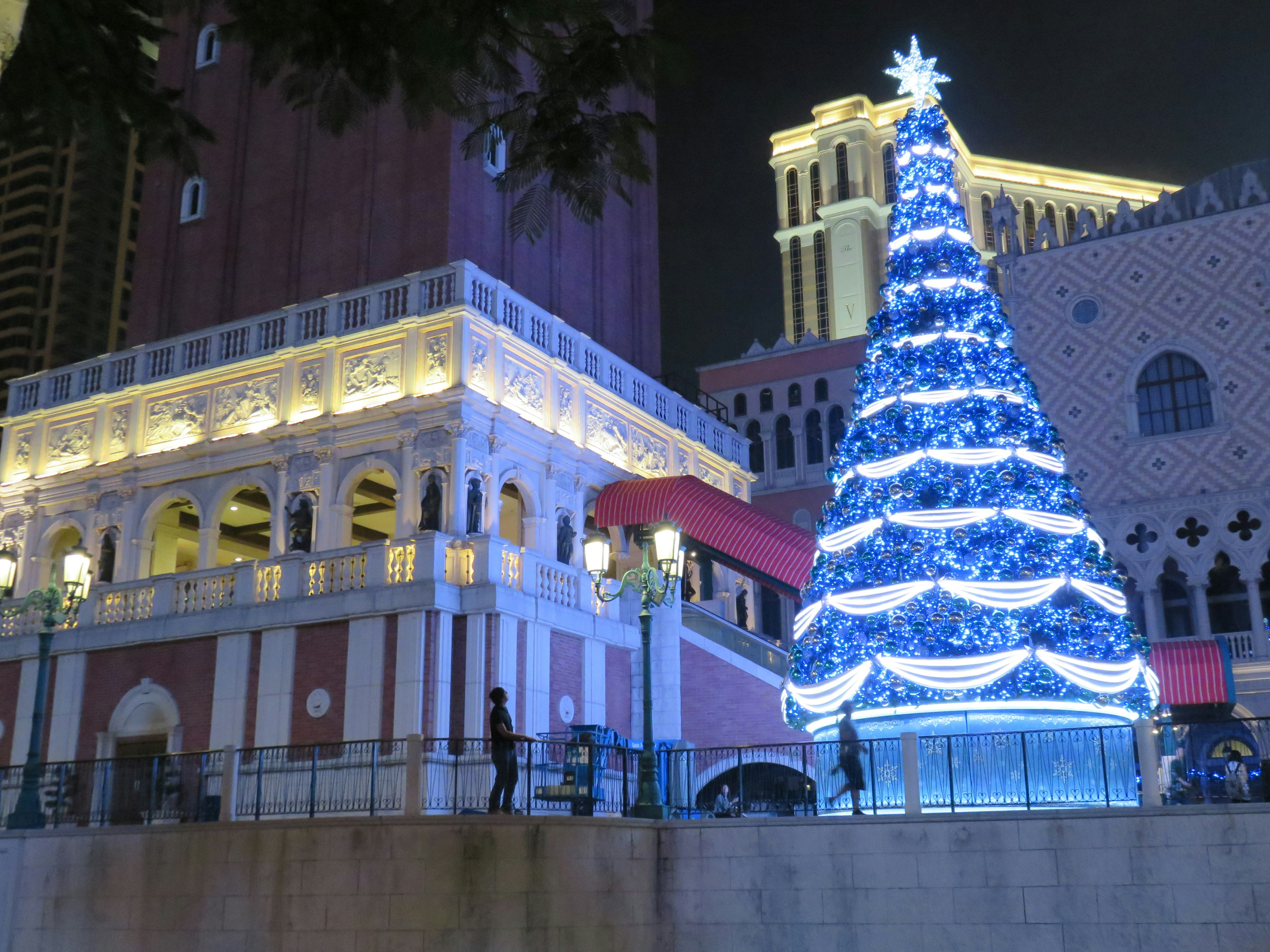 美しい青いクリスマスツリーが夜の街並みの中に立っている