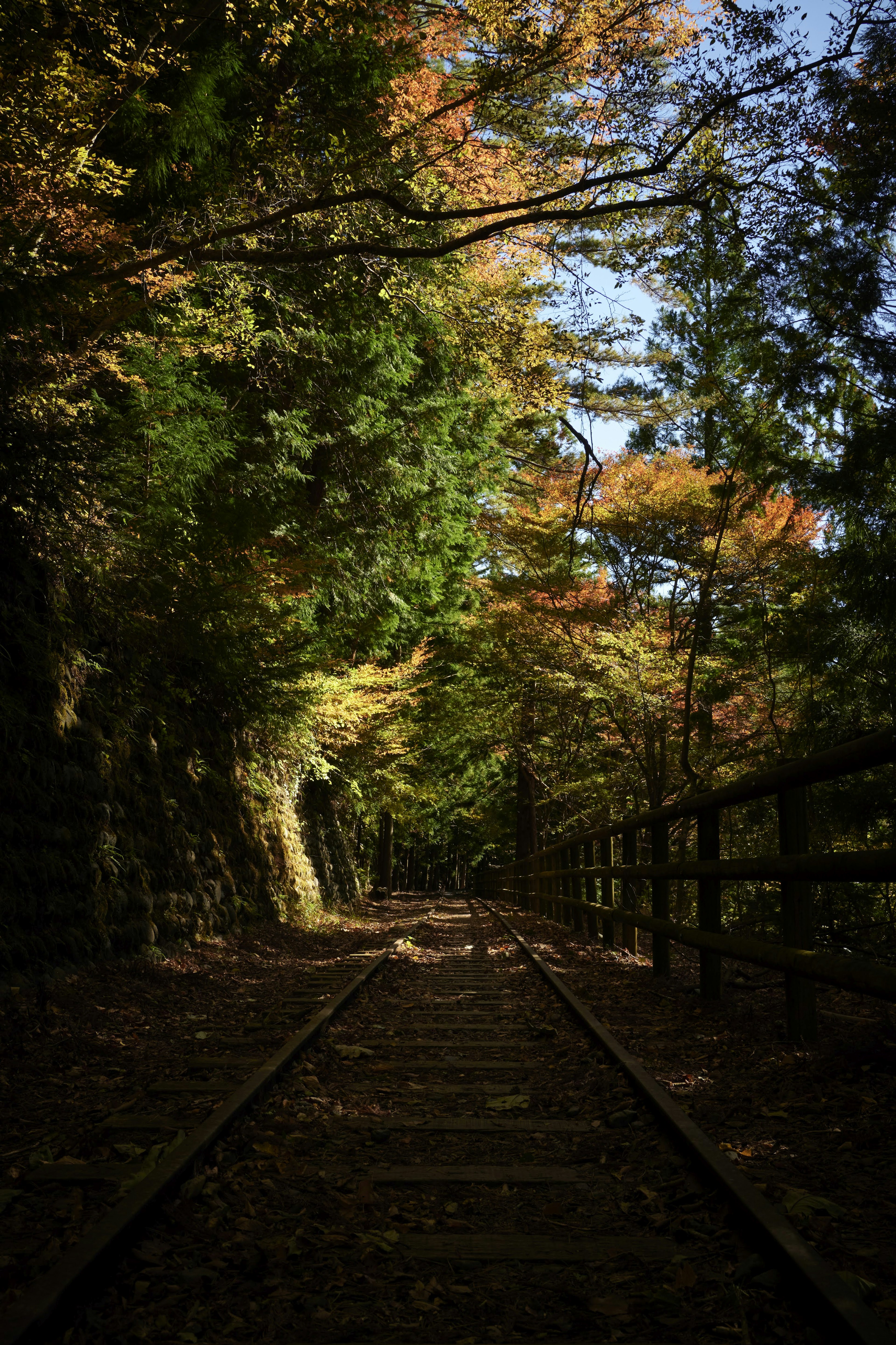 Ruhige Eisenbahnschiene umgeben von herbstlich gefärbten Bäumen