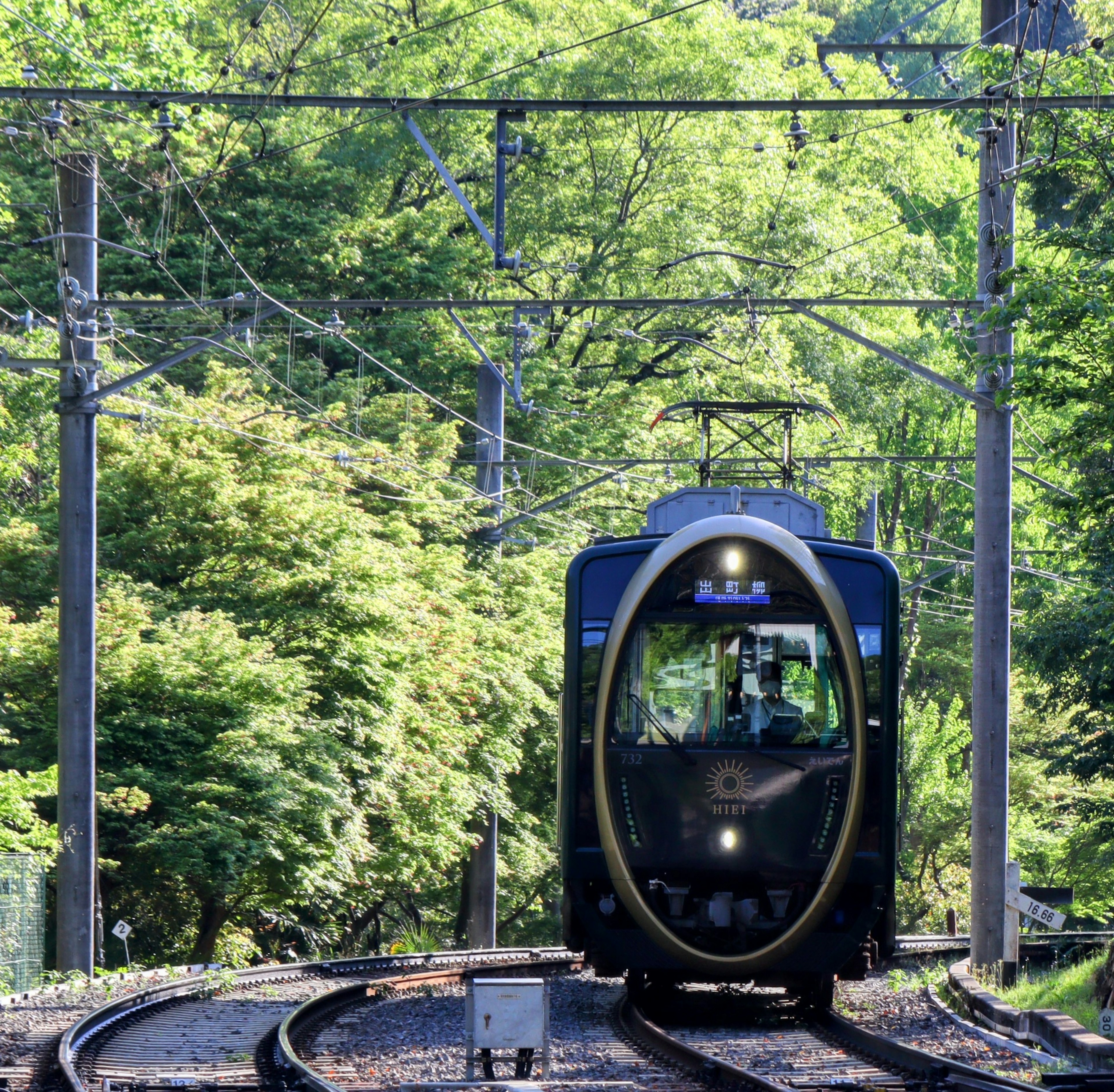 Kereta hitam melintasi pemandangan hijau