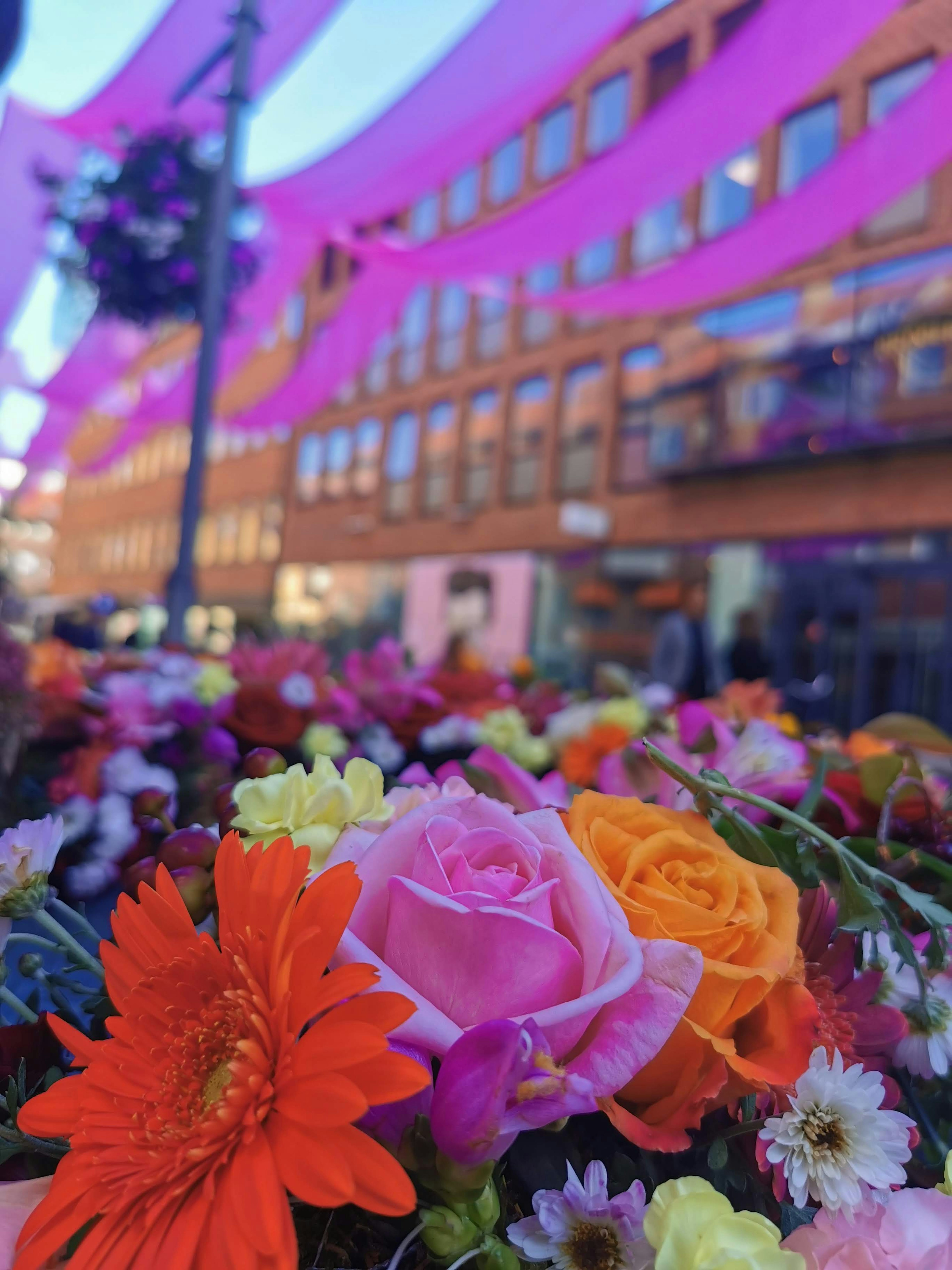 色とりどりの花が咲く花壇と背景にピンクの布がかかる街並み