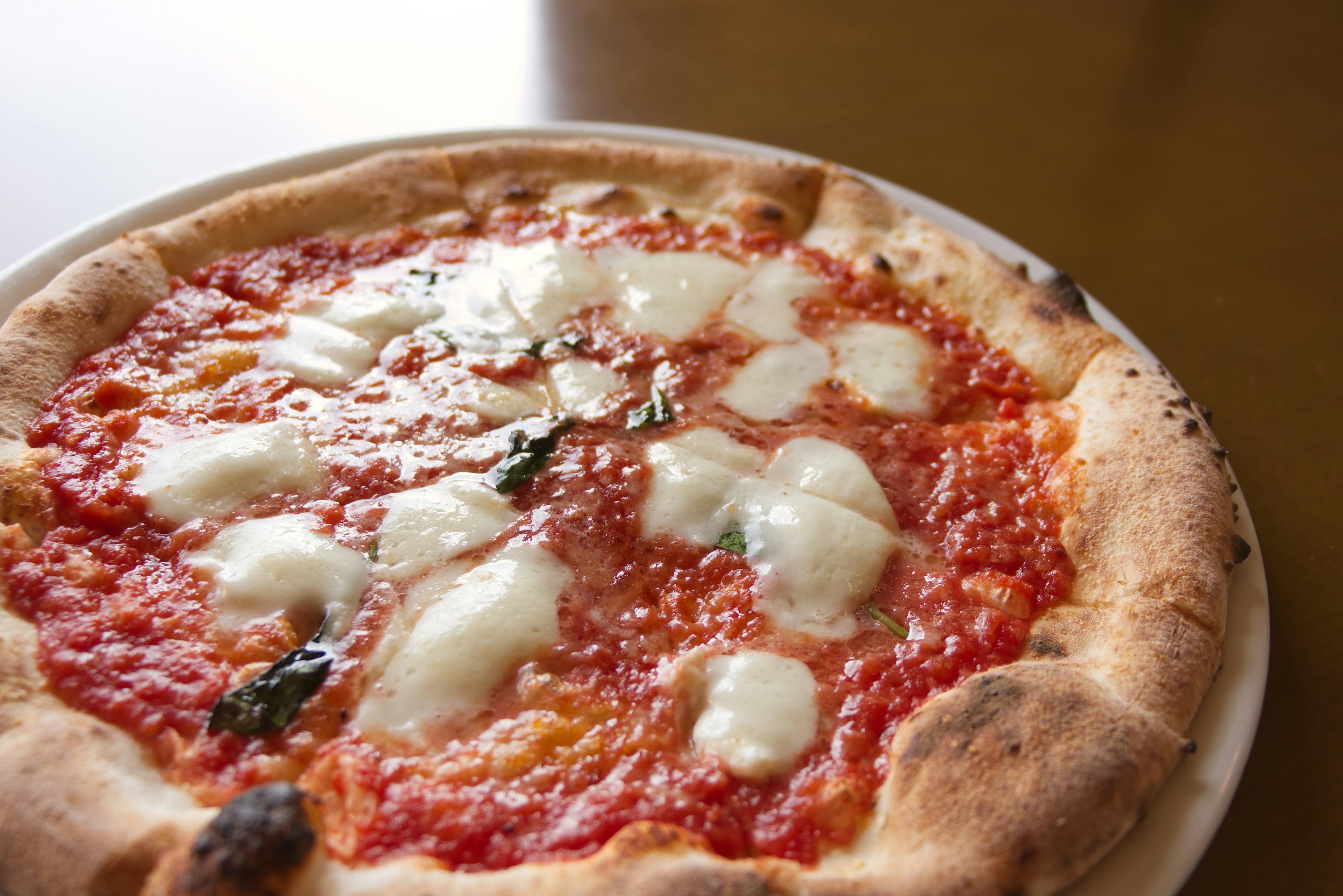 Pizza Margherita appena sfornata con salsa di pomodoro ricca e mozzarella guarnita con basilico fresco