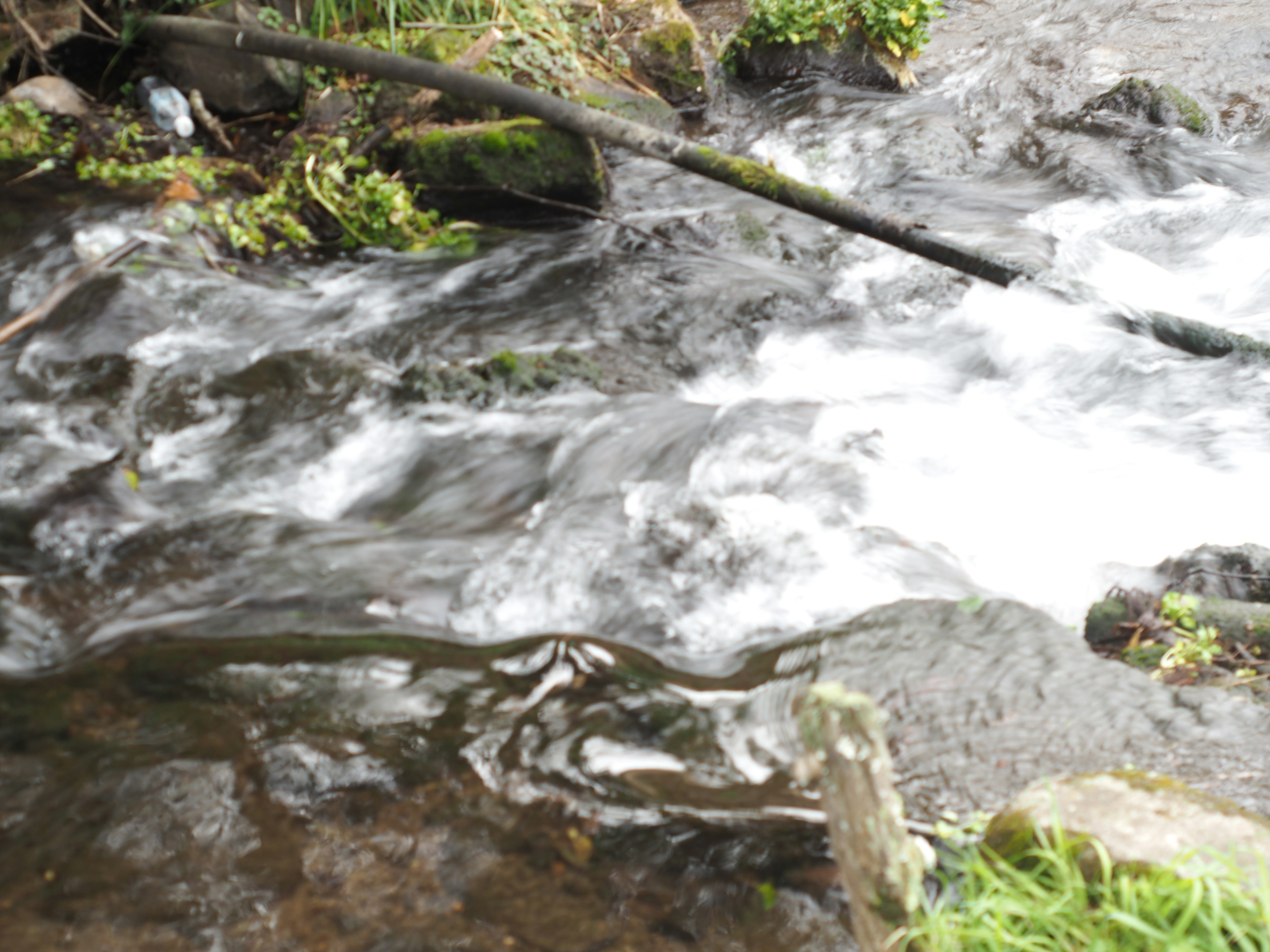 Naturlandschaft mit fließendem Wasser und grüner Vegetation