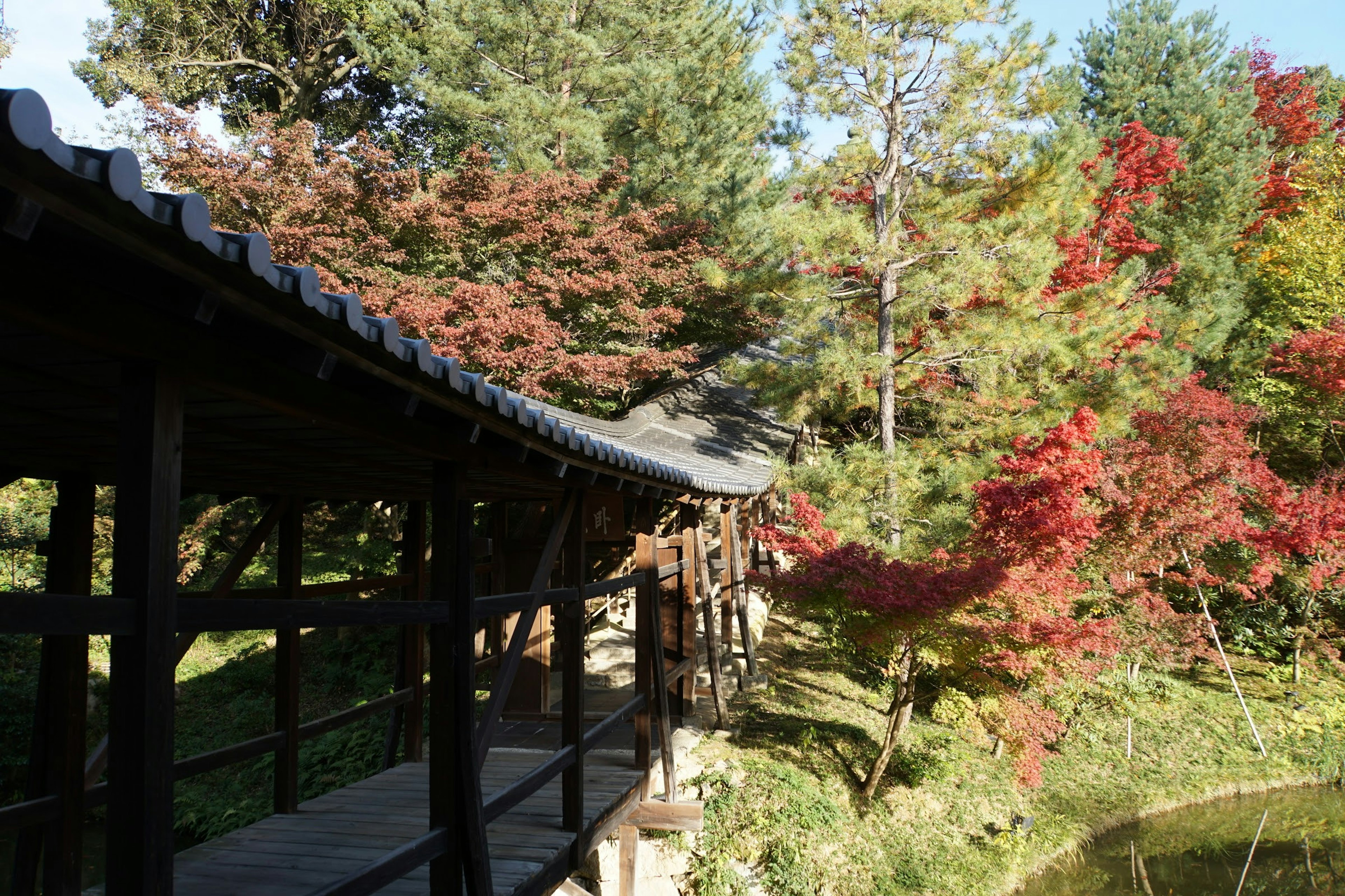 被秋天的樹葉和花園景色圍繞的木橋