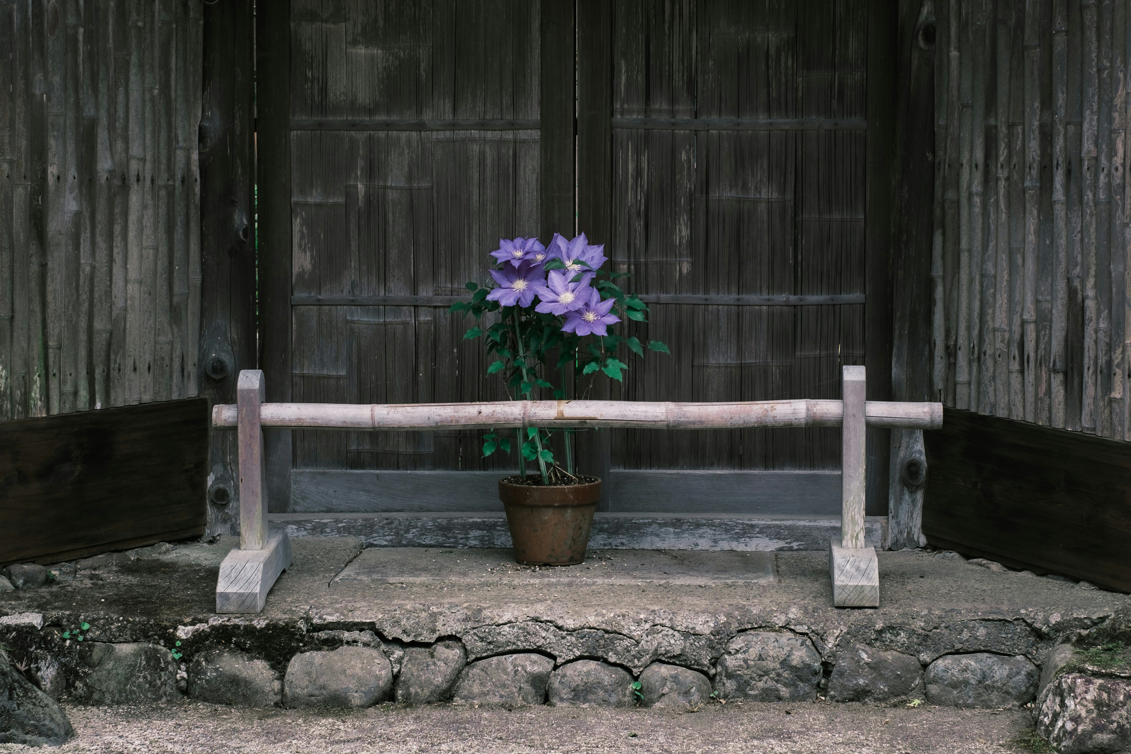 木製の扉の前にある紫色の花が入った鉢植えと石の敷石