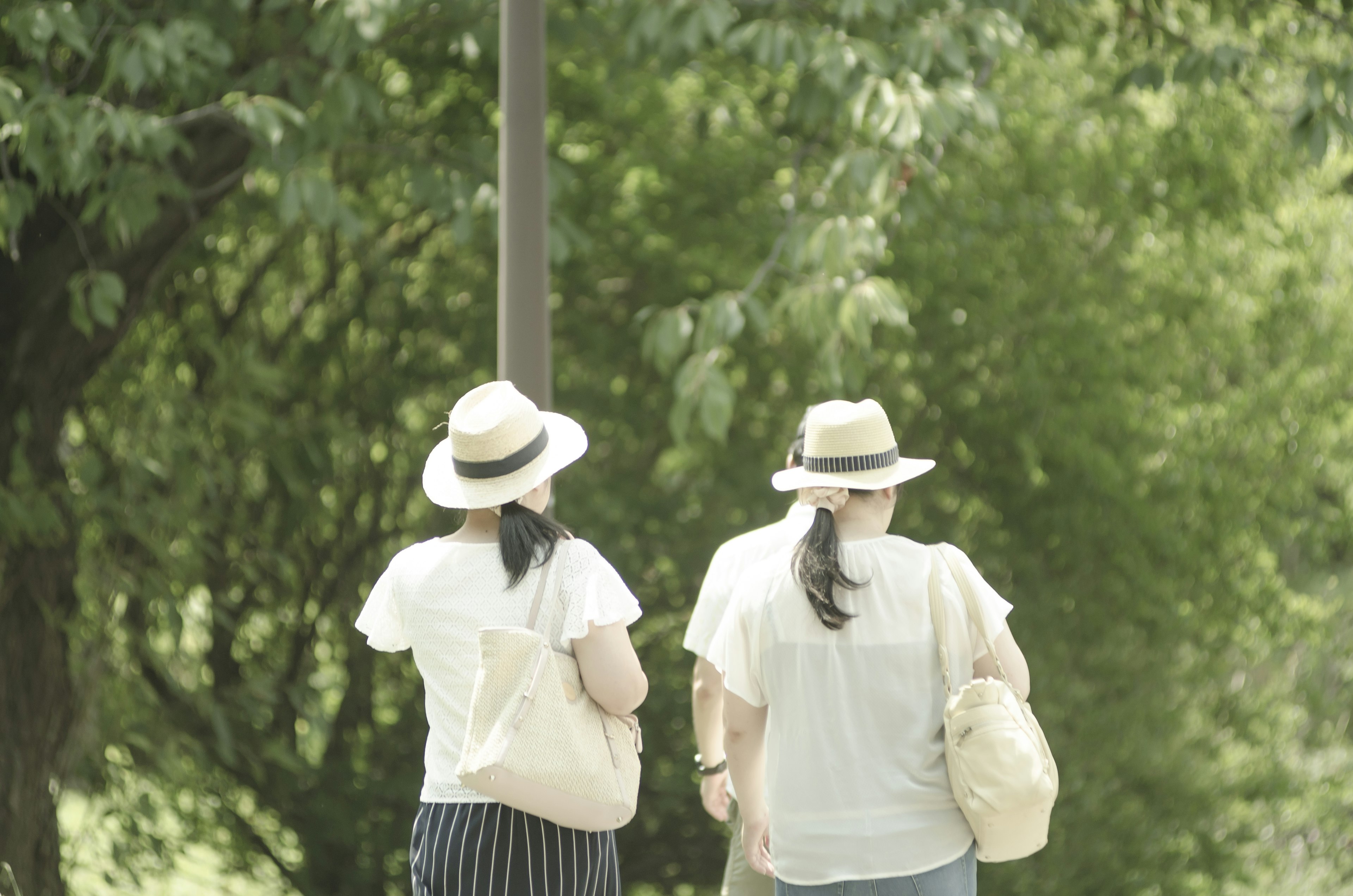 Two women wearing hats walking in a green park