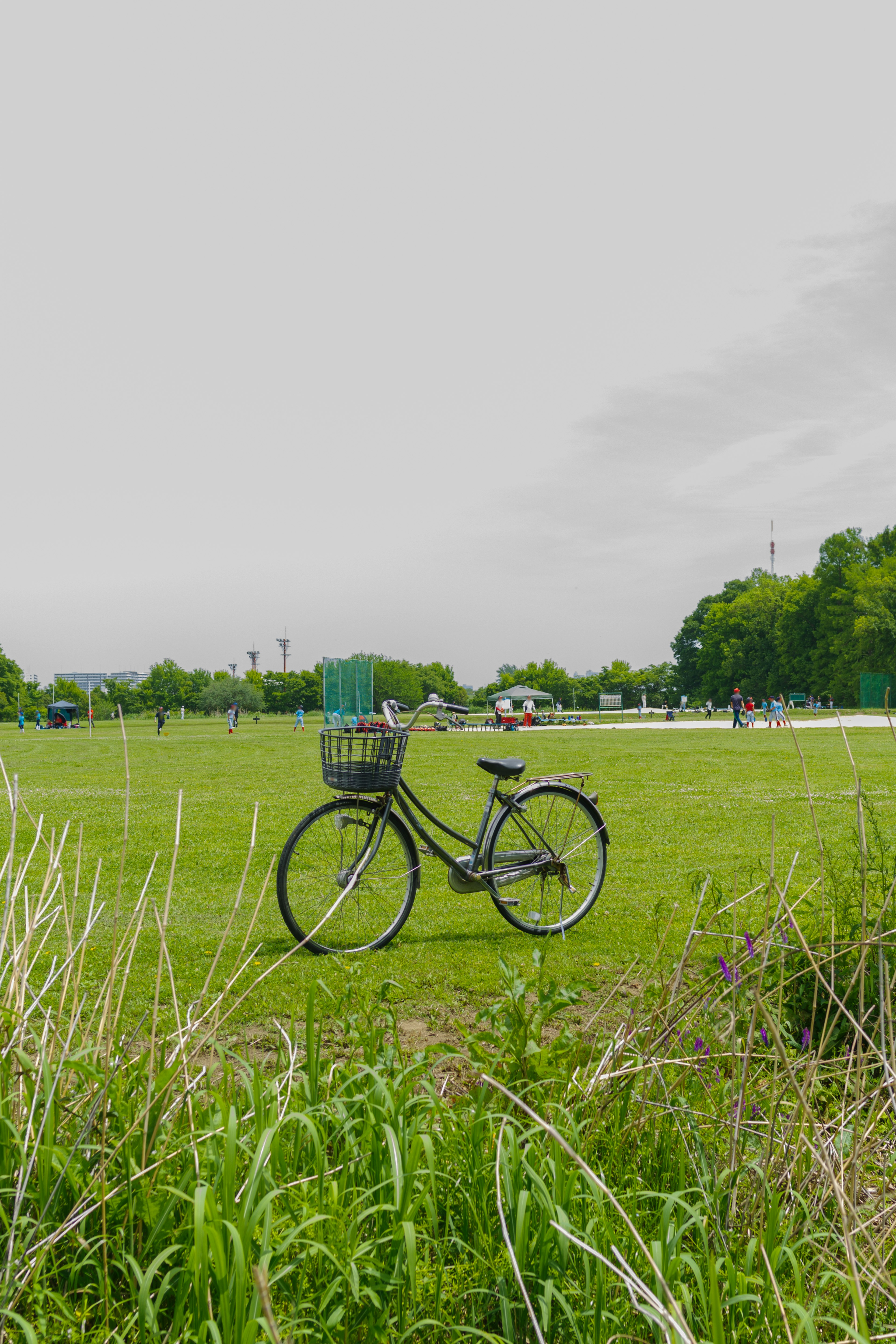 Una bicicleta negra estacionada en un campo de hierba verde con árboles al fondo