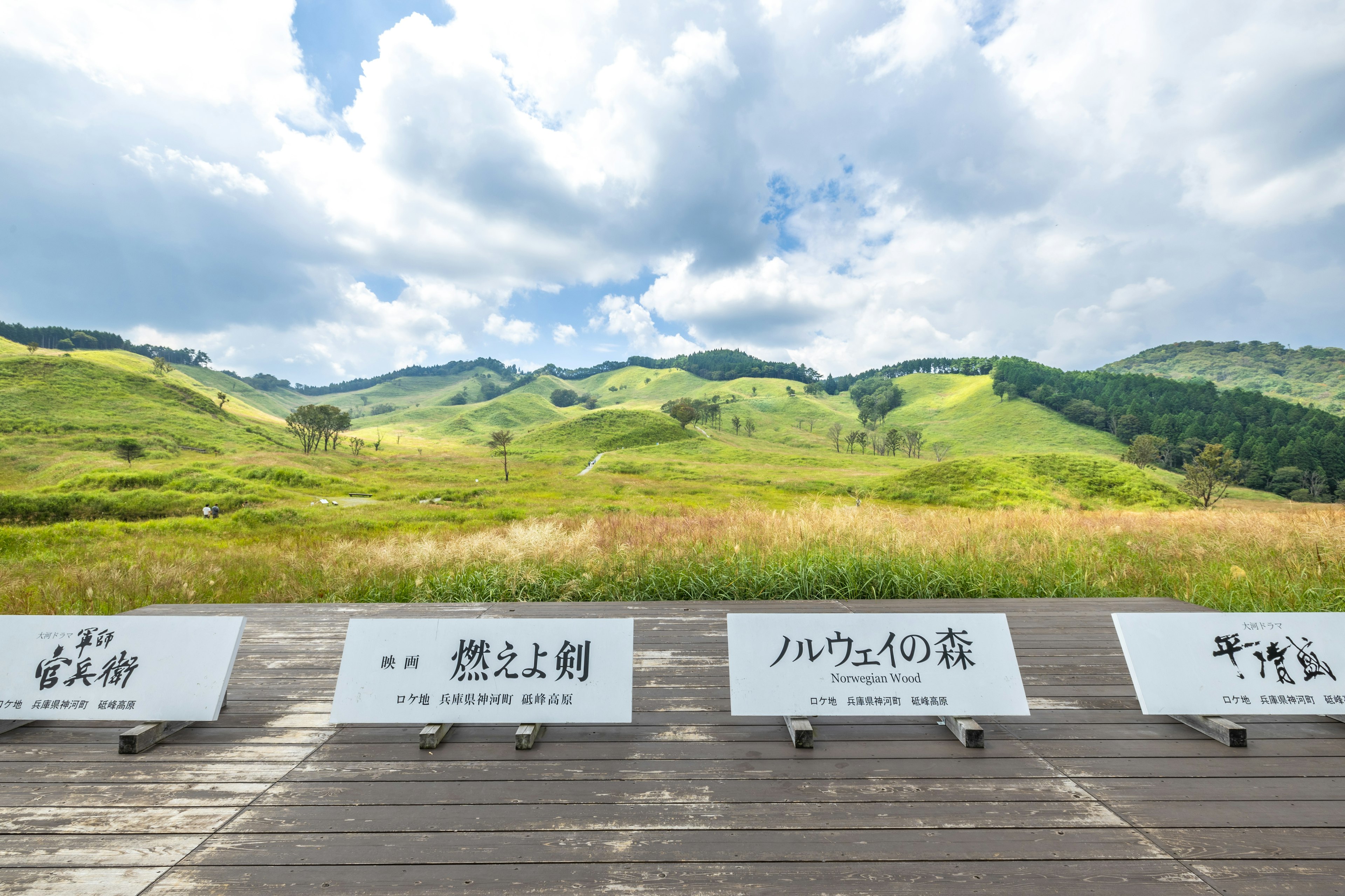 郁郁葱葱的山丘和开阔草原的风景，配有白色标牌