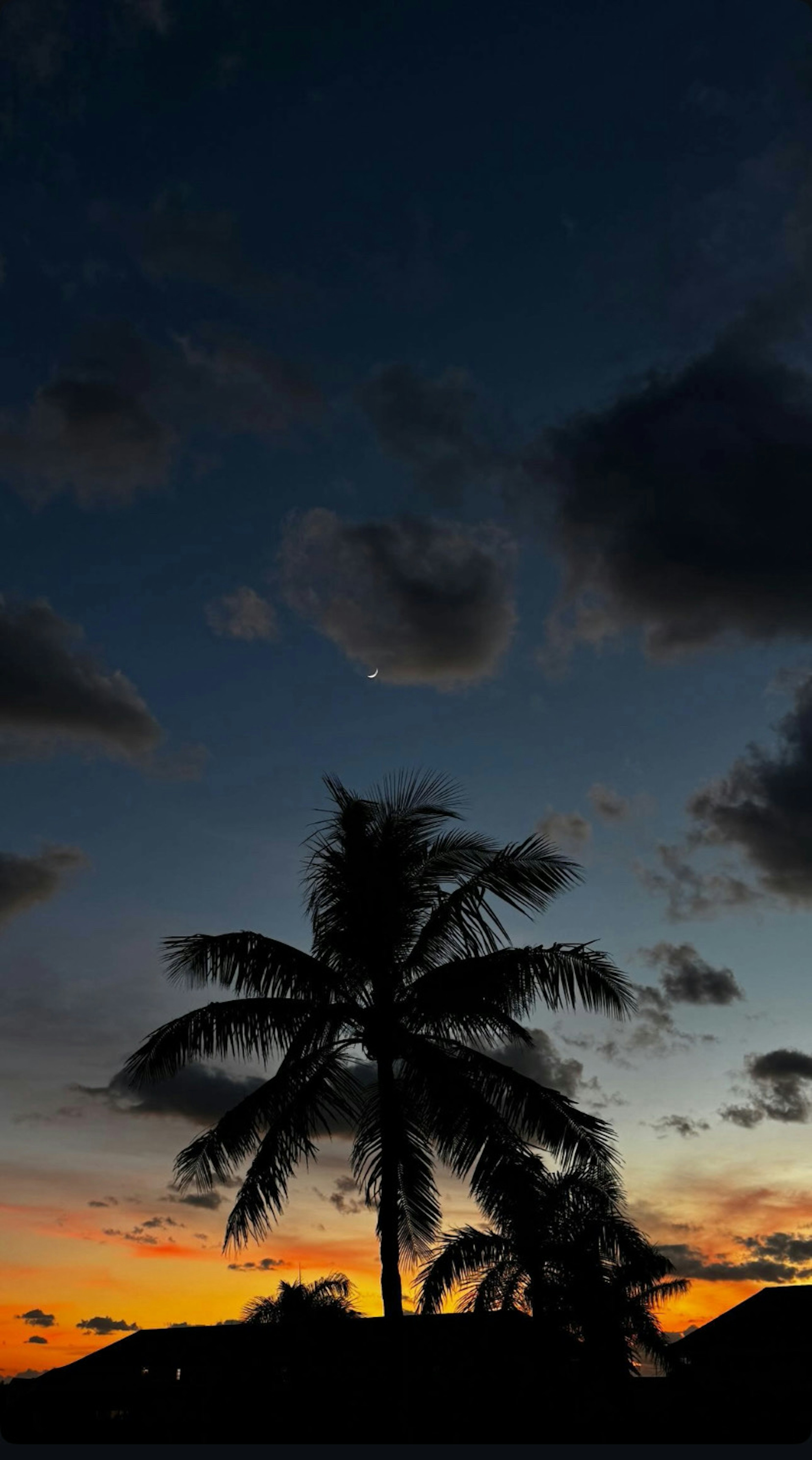 夕焼けの空にシルエットのヤシの木が映える美しい風景