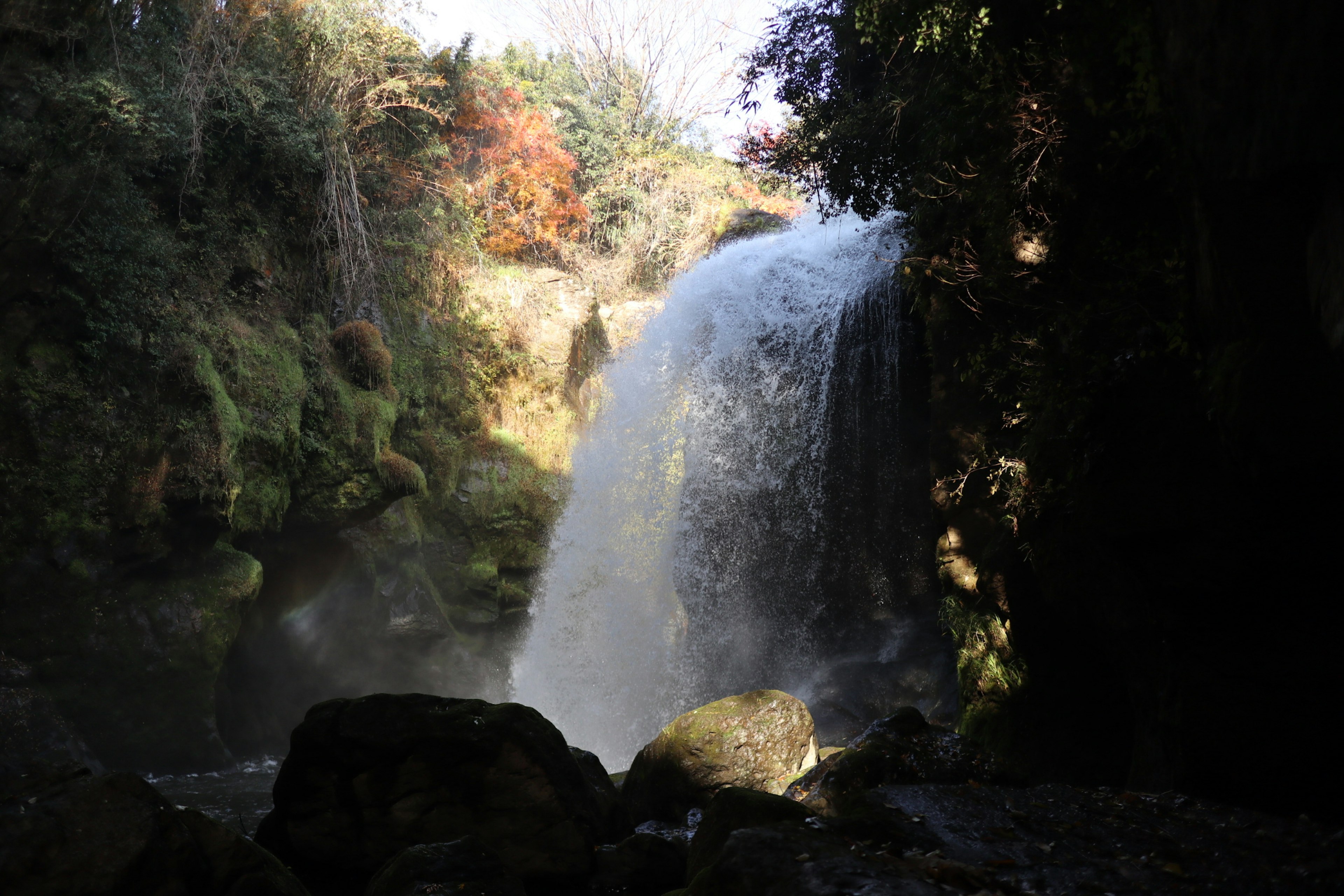 Una cascada que cae en una piscina serena rodeada de vegetación exuberante y colores otoñales