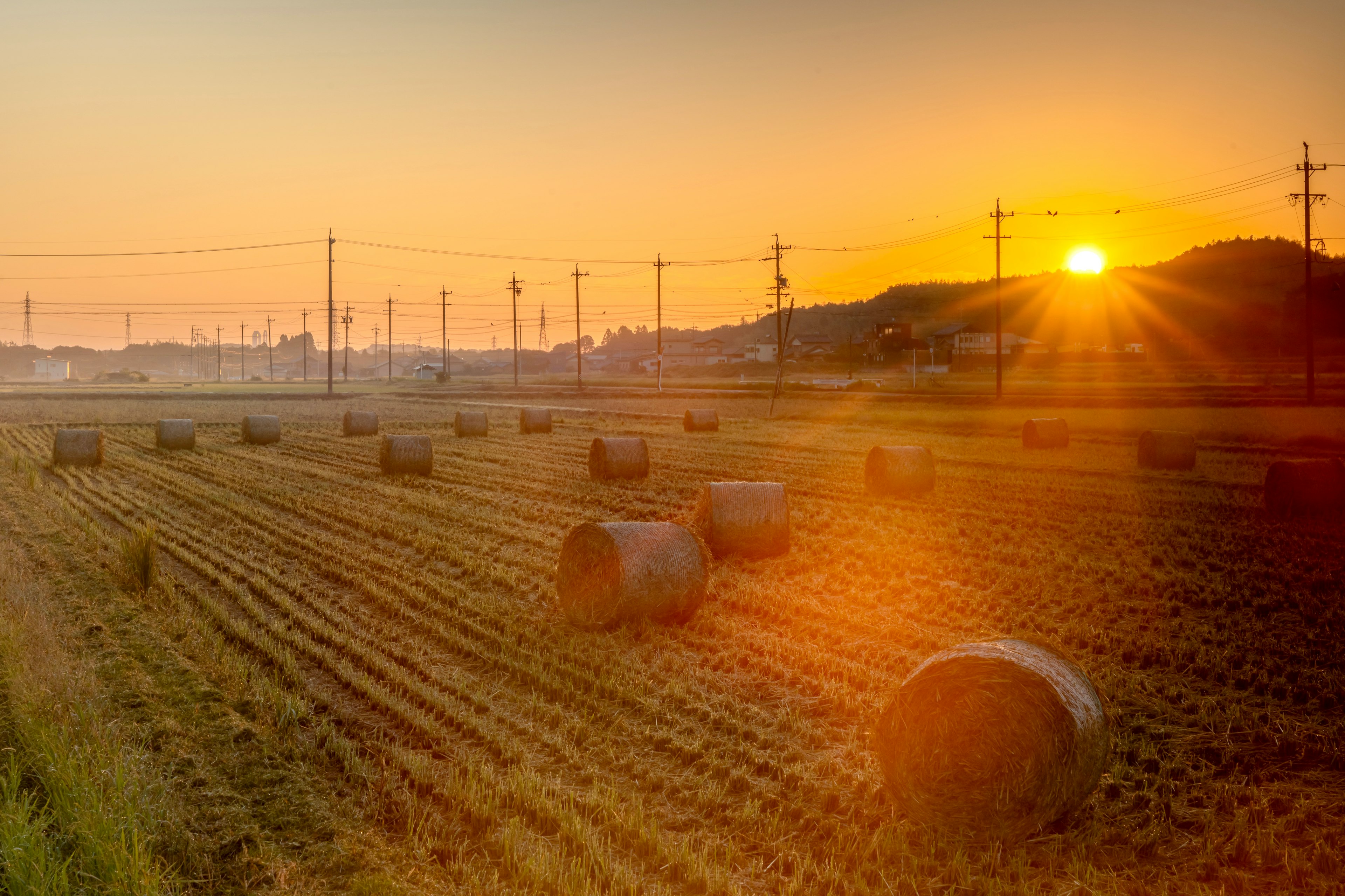 Sonnenuntergang über einer ländlichen Landschaft mit runden Heuballen