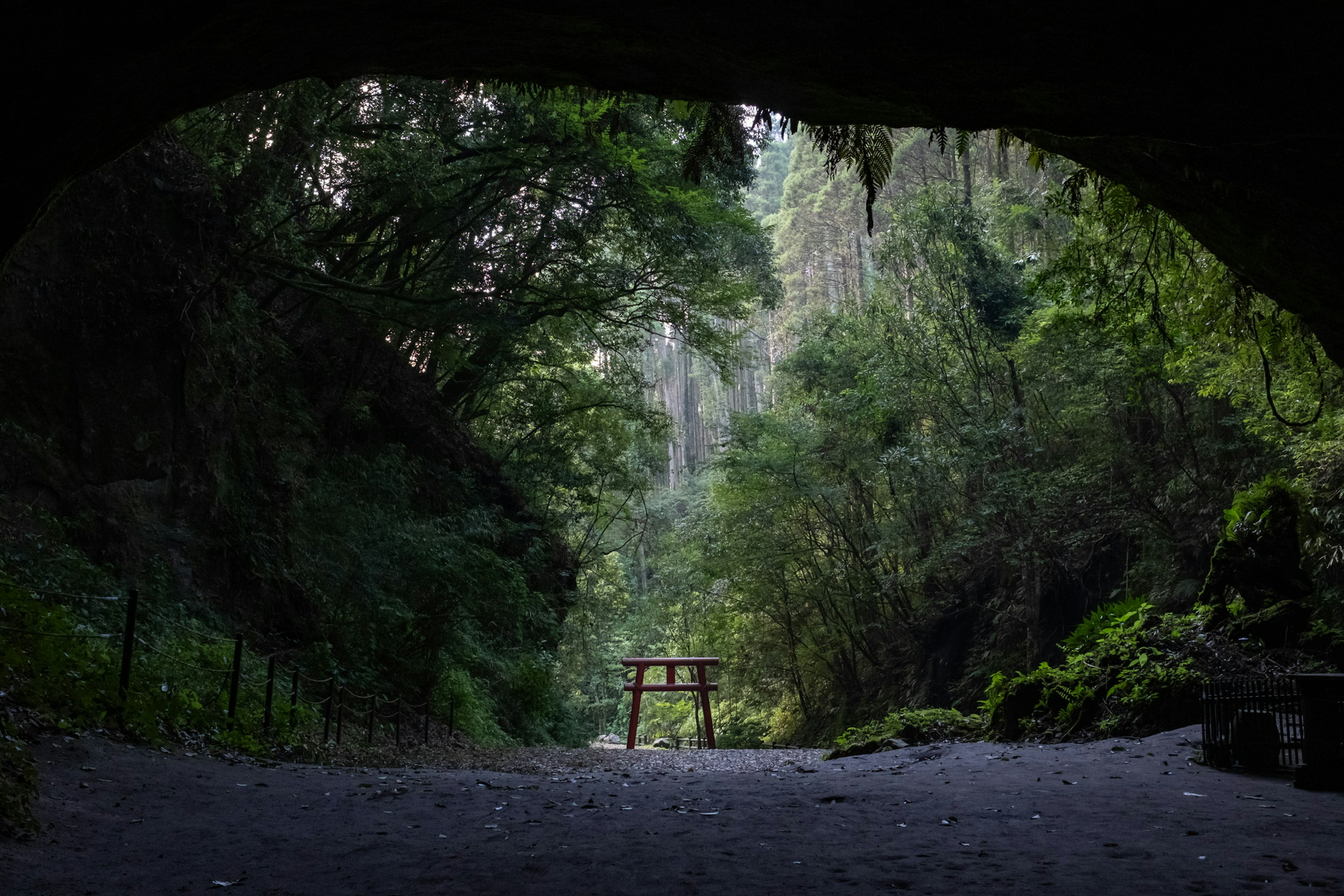 View of a lush forest through a cave entrance with a wooden gate