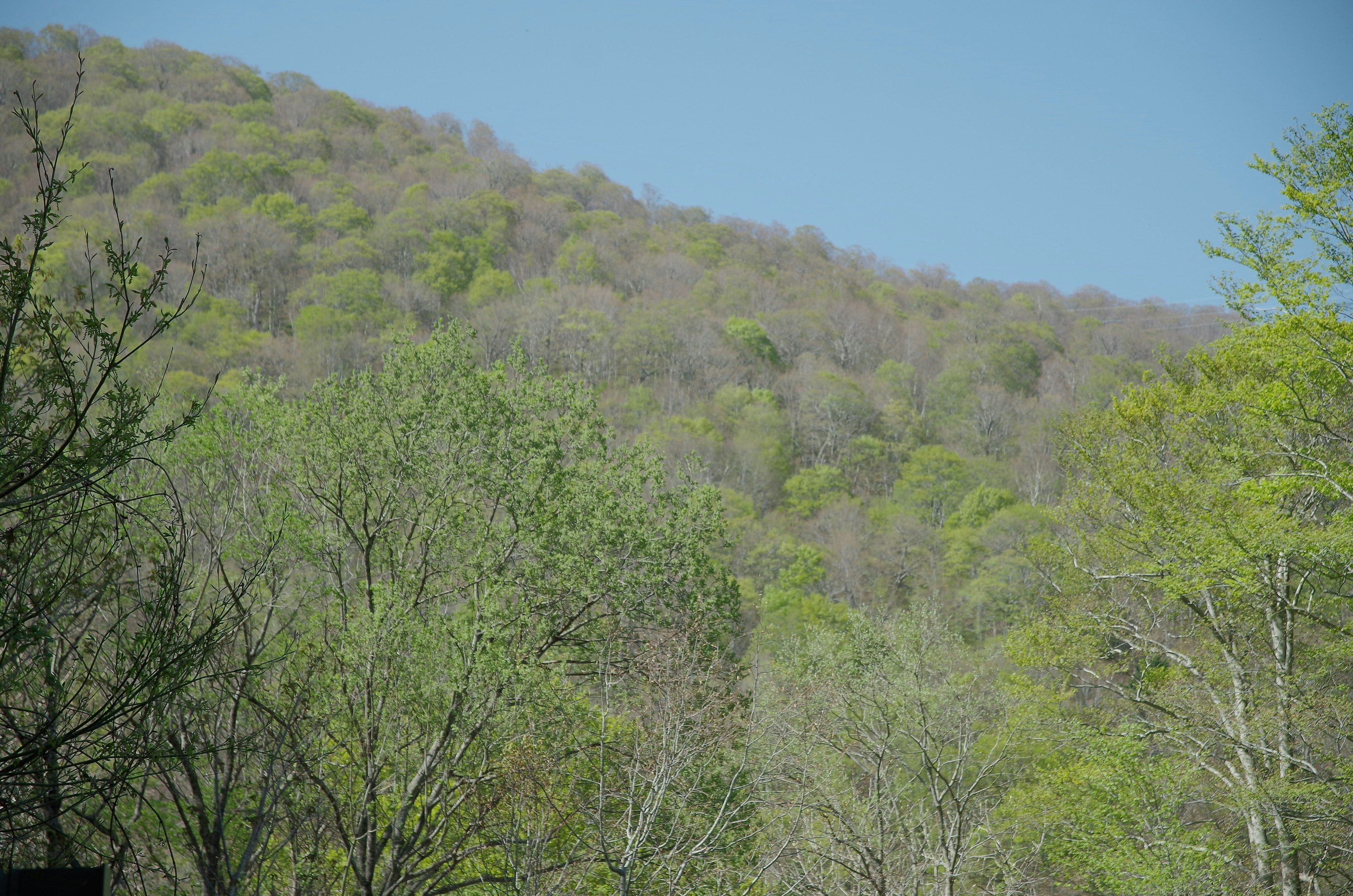 Lush green hillside with blue sky