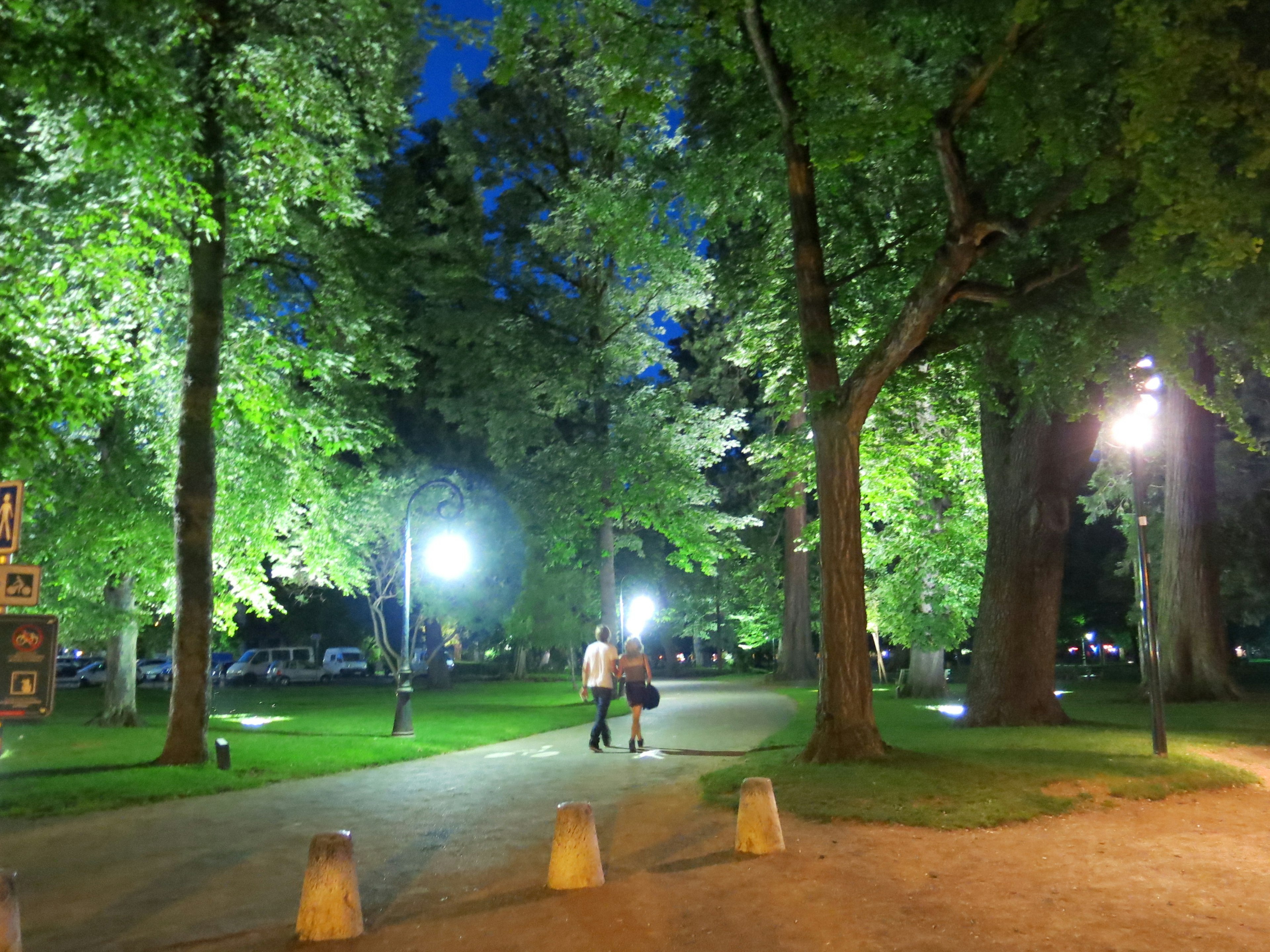 夜晚在公園小徑上散步的情侶輪廓，四周環繞著樹木