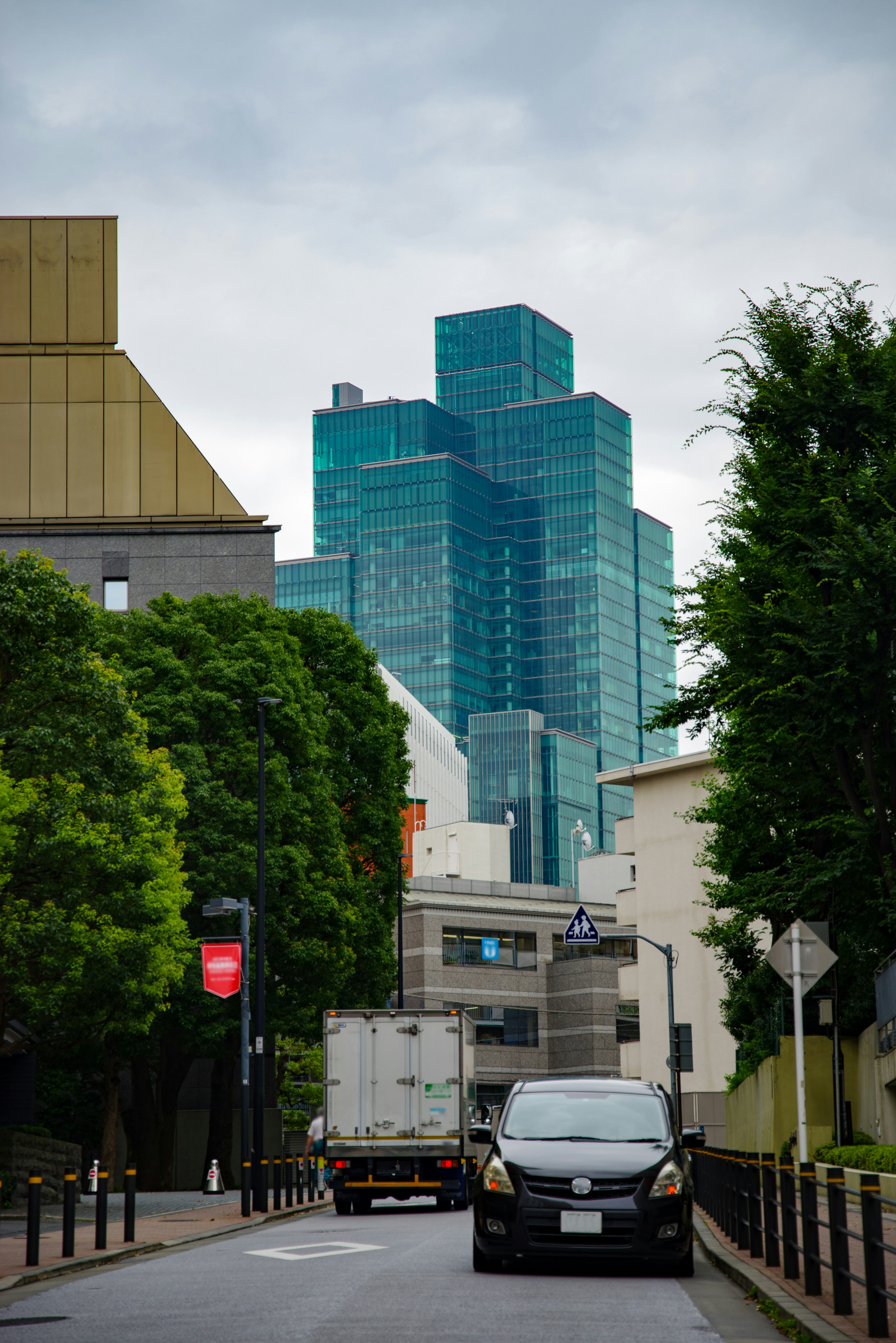 城市风景有建筑和汽车绿色树木和灰色天空