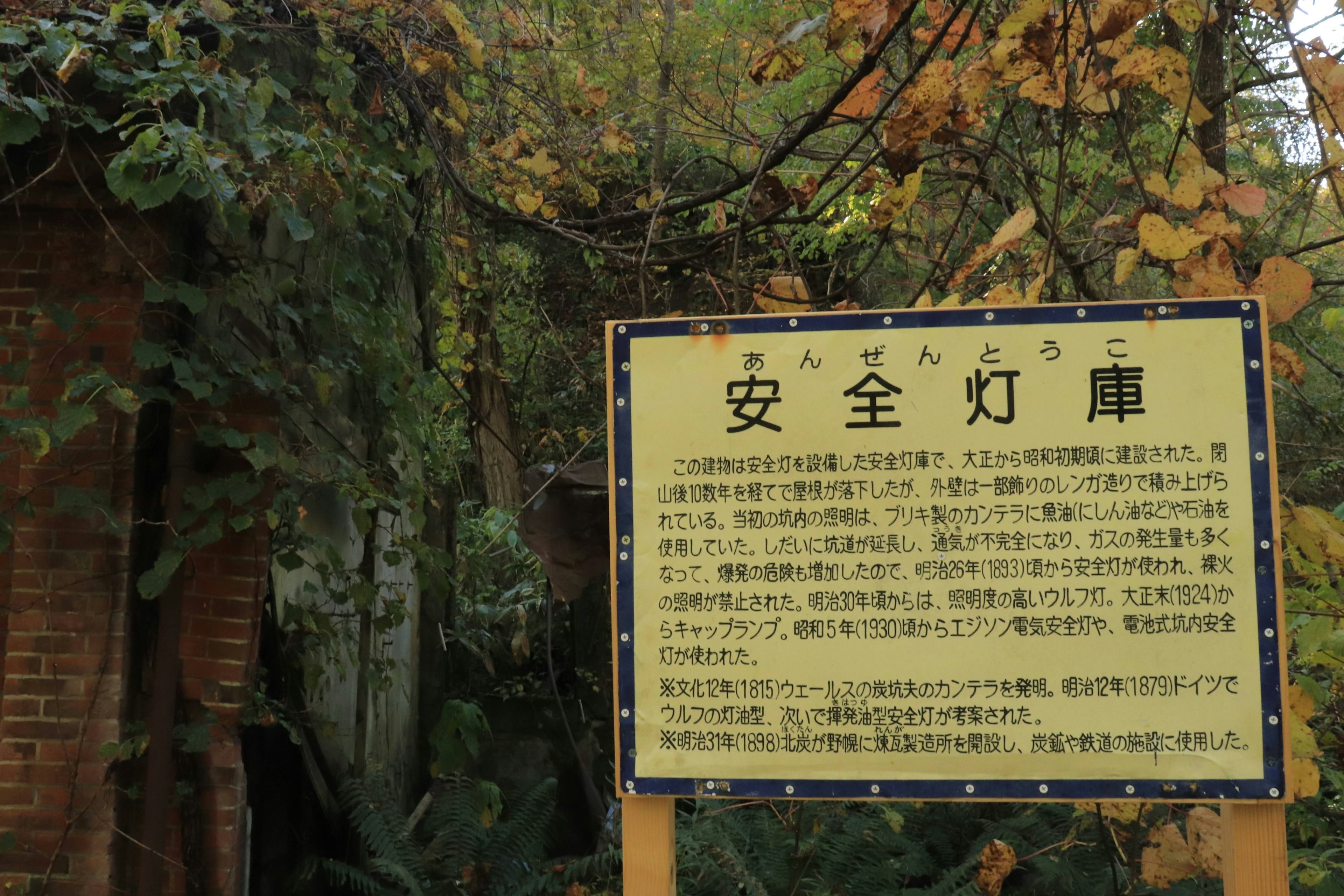 Schild für das Sicherheitslaternenhaus umgeben von Natur