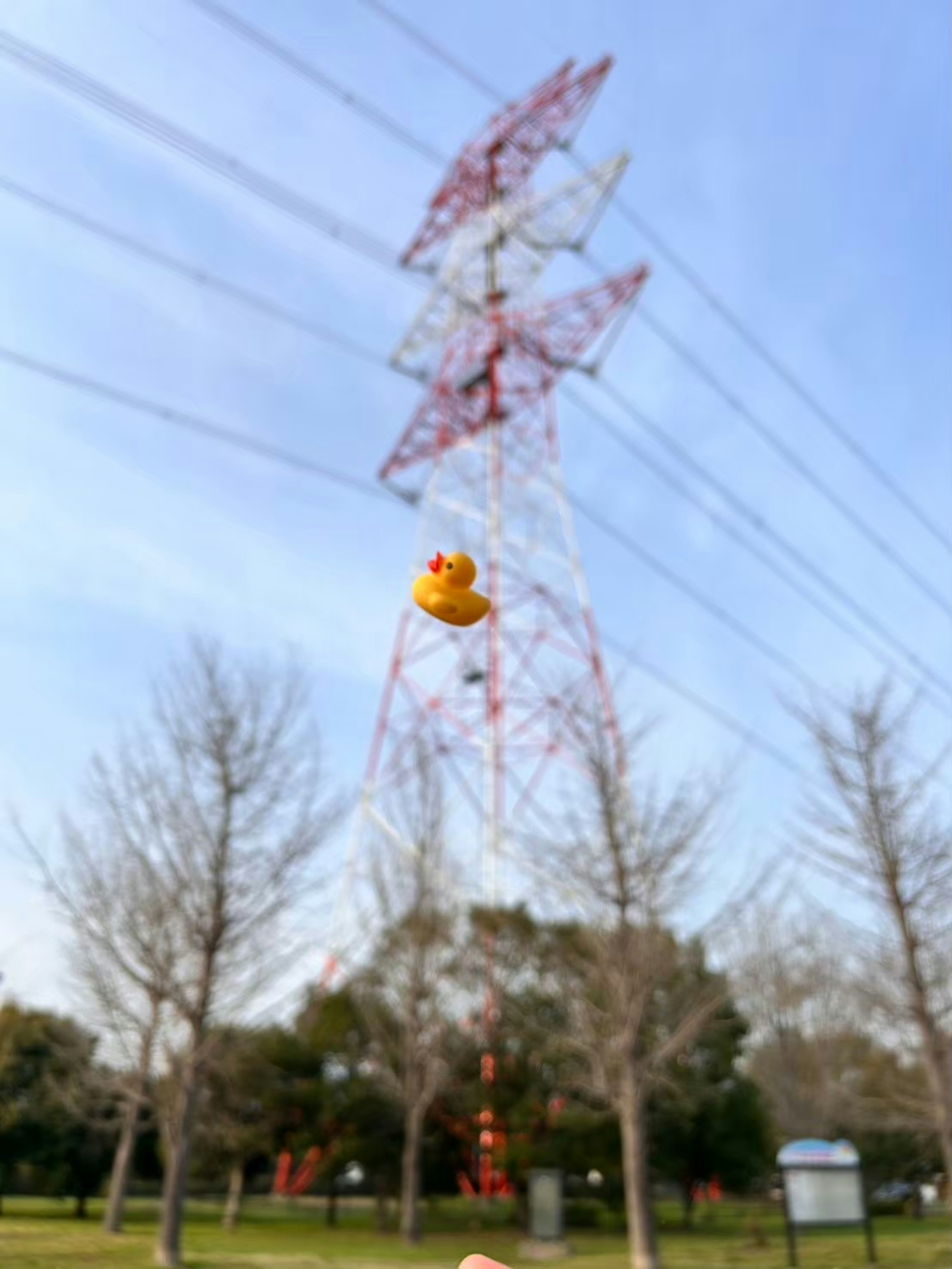 Un canard en caoutchouc jaune flottant devant des lignes électriques et un ciel bleu