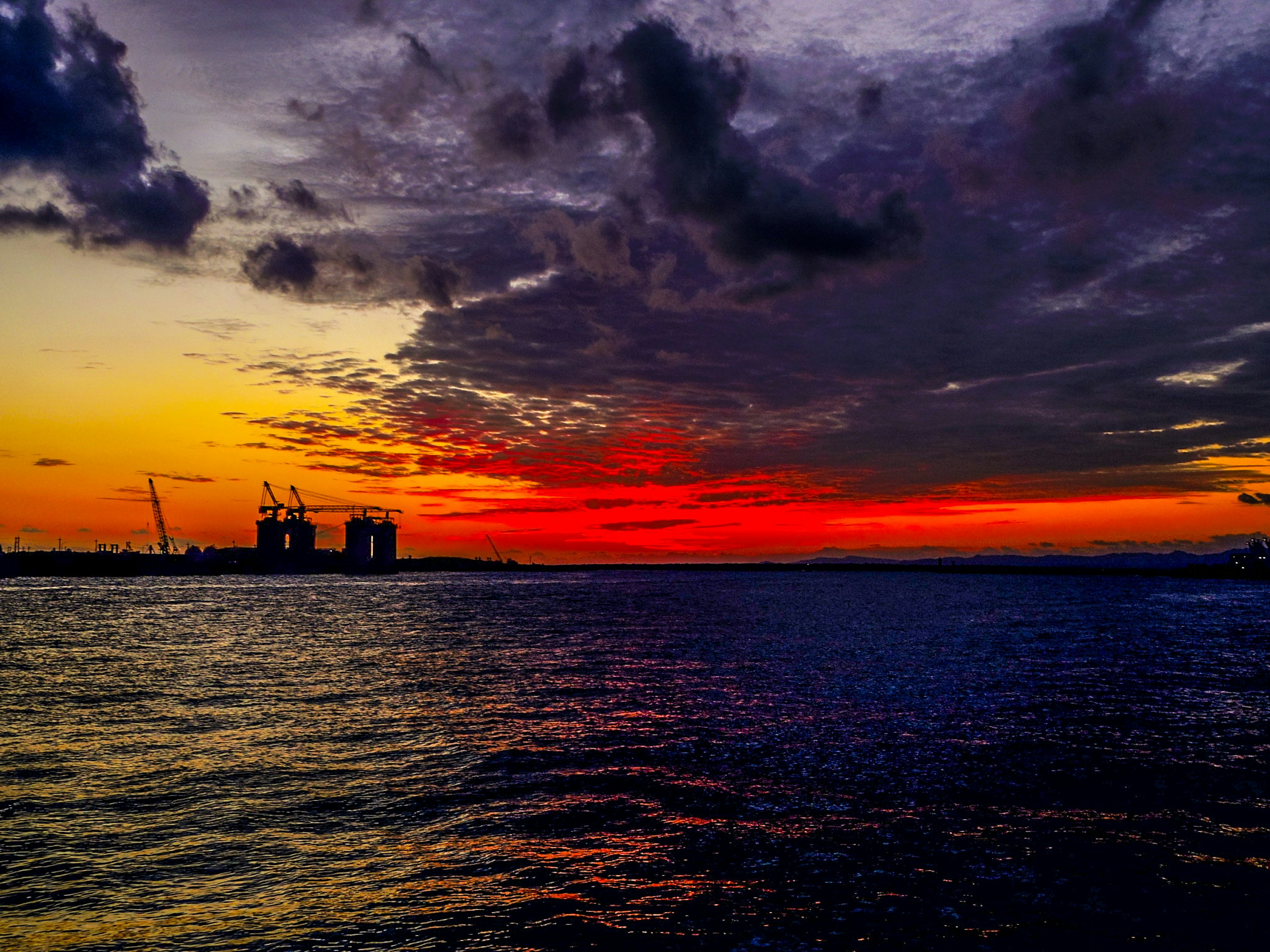 Beautiful seascape with sunset colors and silhouettes of cranes