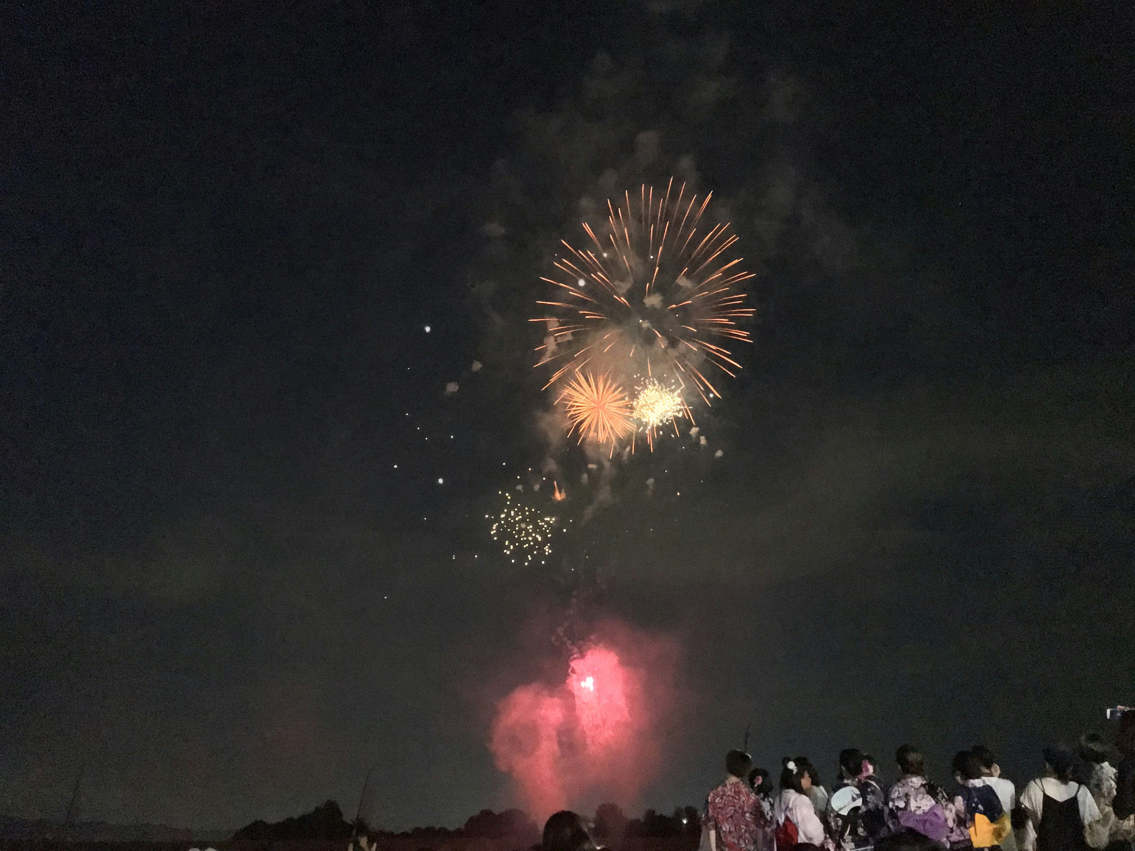 Crowd watching colorful fireworks in the night sky