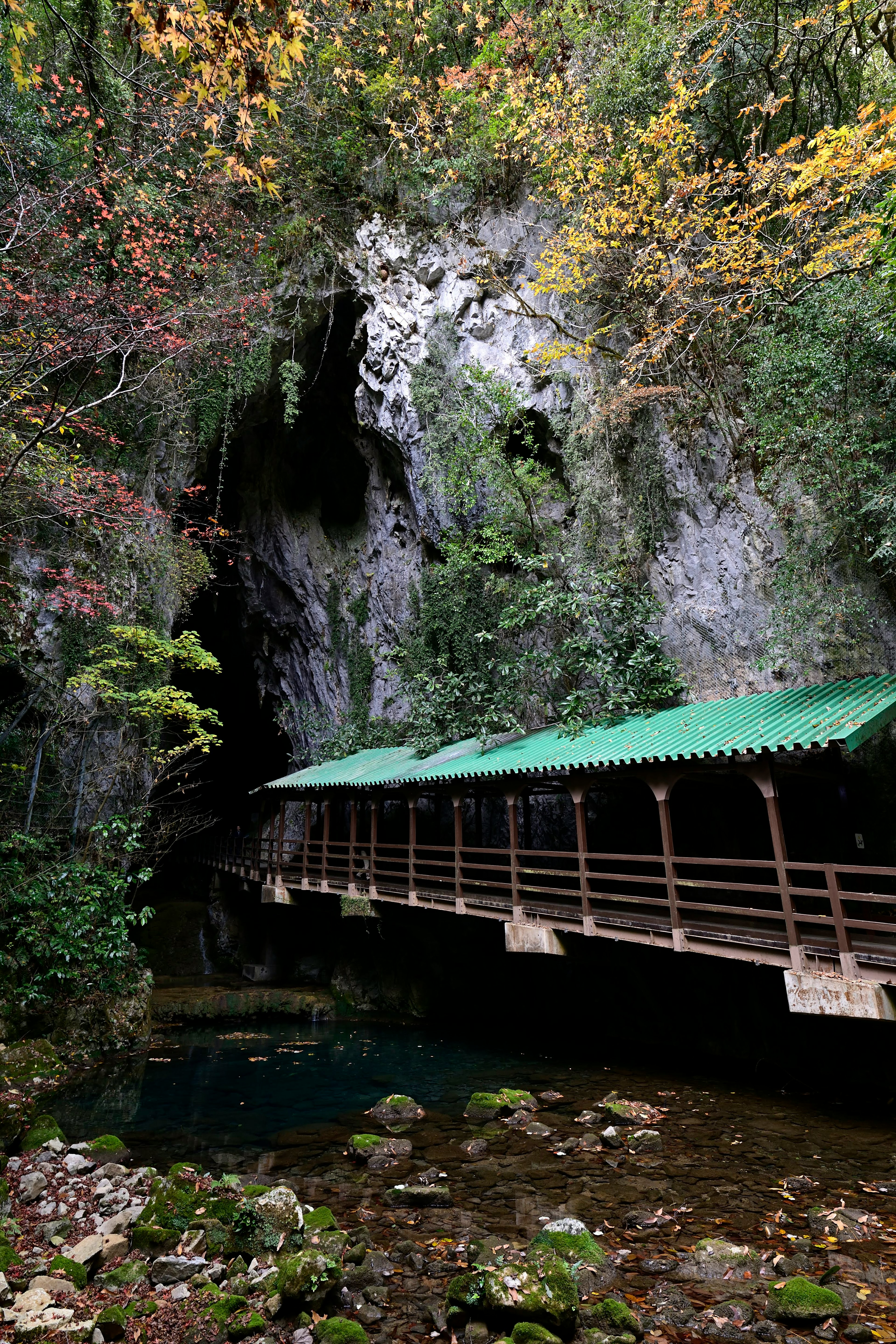 Malersicher Blick mit einer grünbedachten Brücke und einer Höhlenöffnung umgeben von üppigem Grün