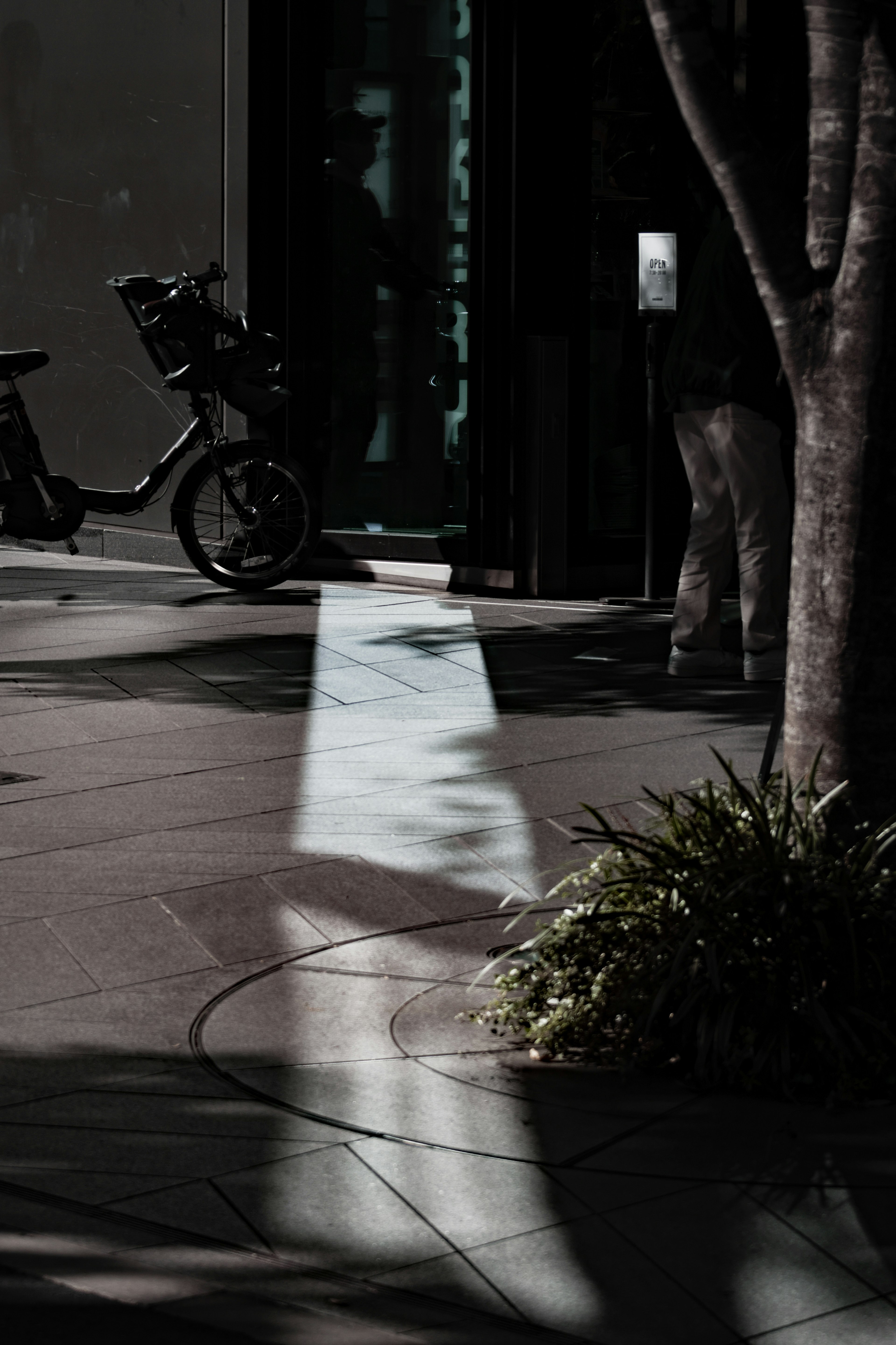 Une ombre projetée sur un trottoir avec de la verdure et un vélo à proximité