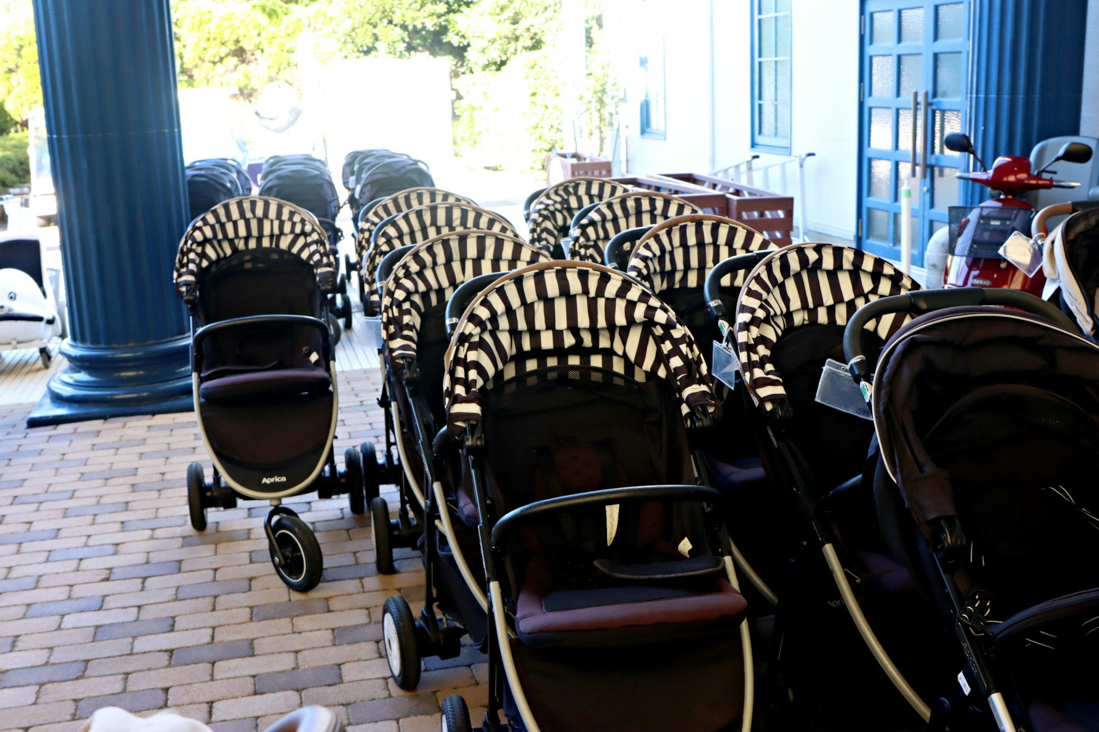 A row of black and white striped strollers arranged outdoors