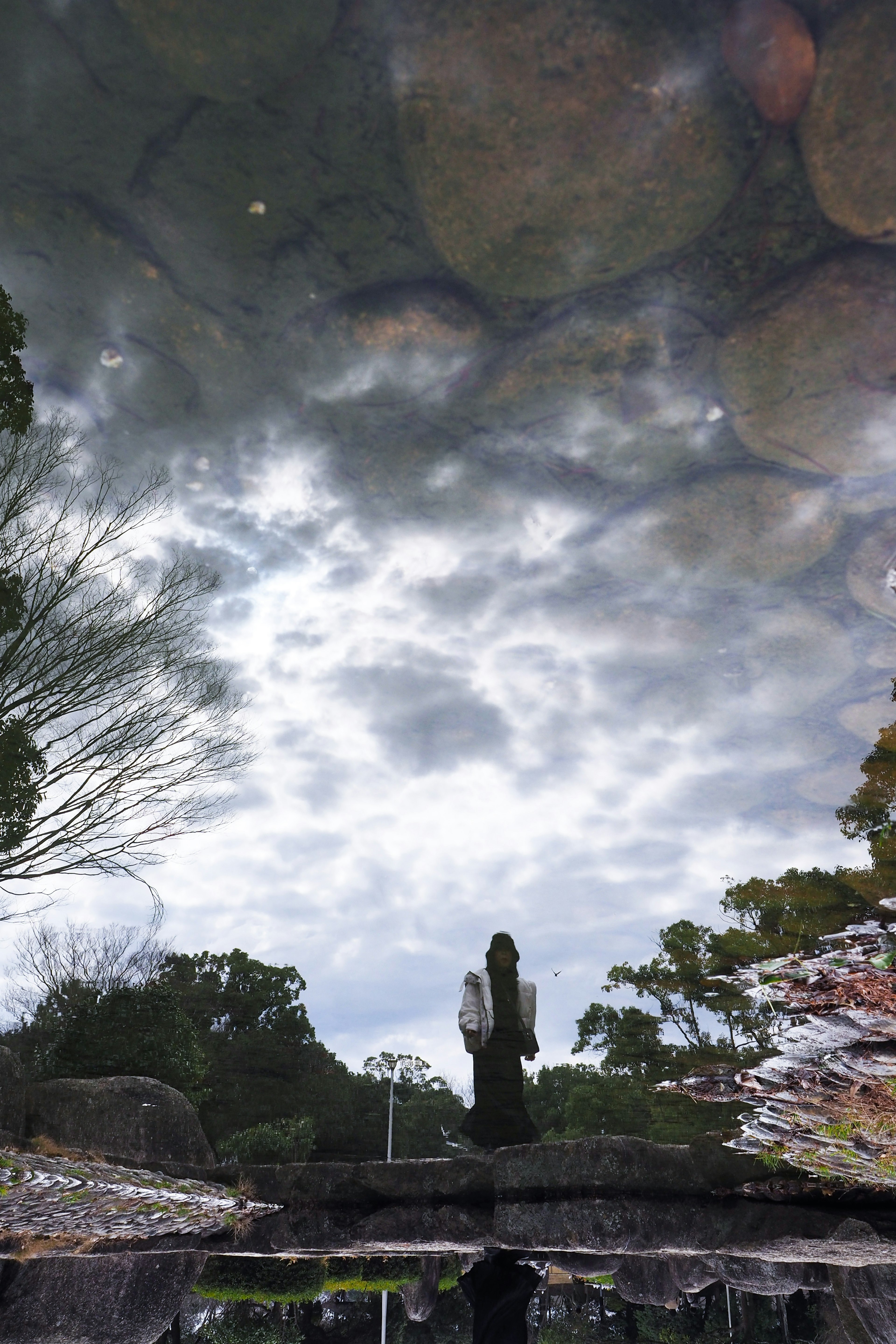 Schatten einer Person im Wasser mit Wolken und Bäumen reflektiert