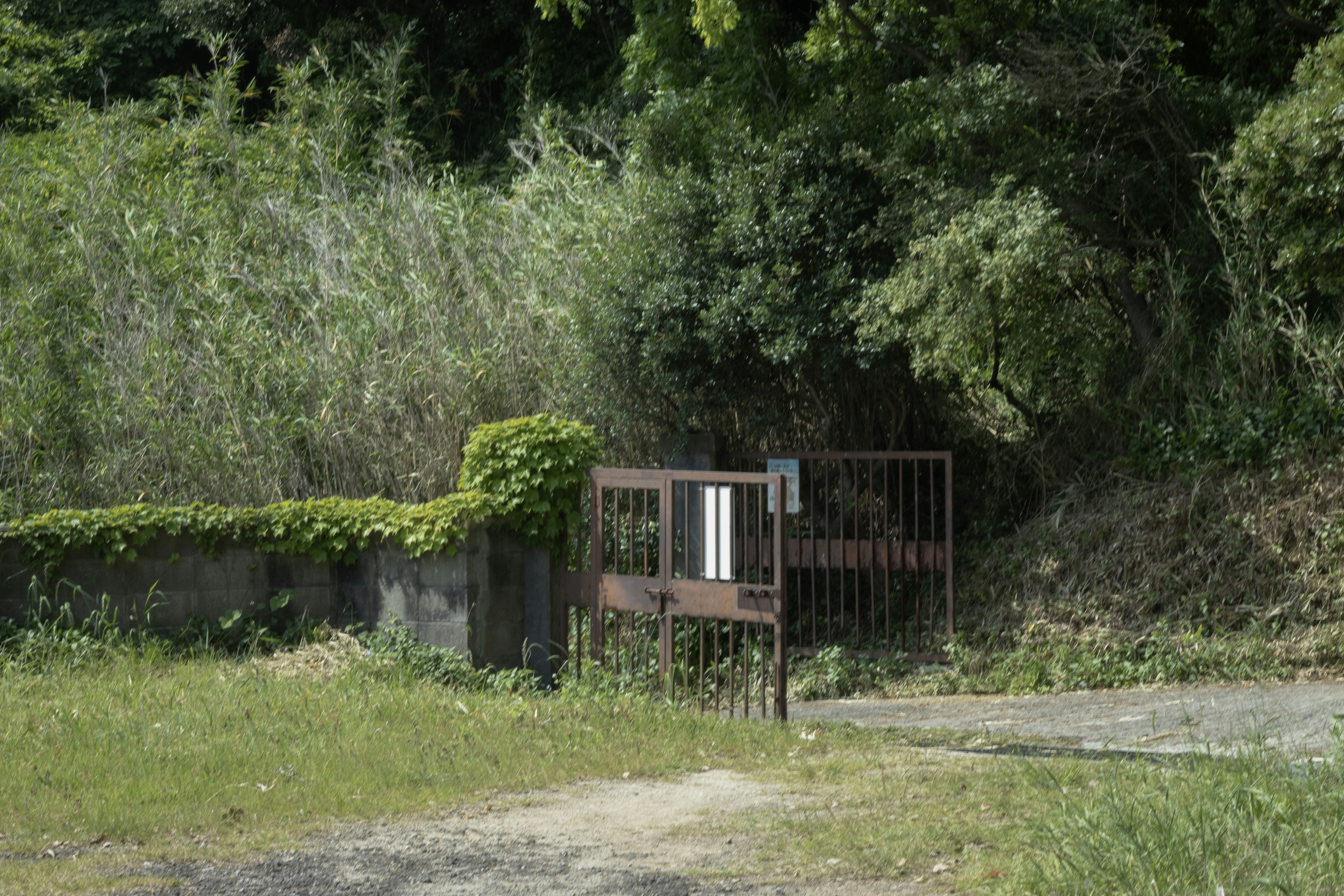 Rusty metal gate surrounded by lush greenery and grass