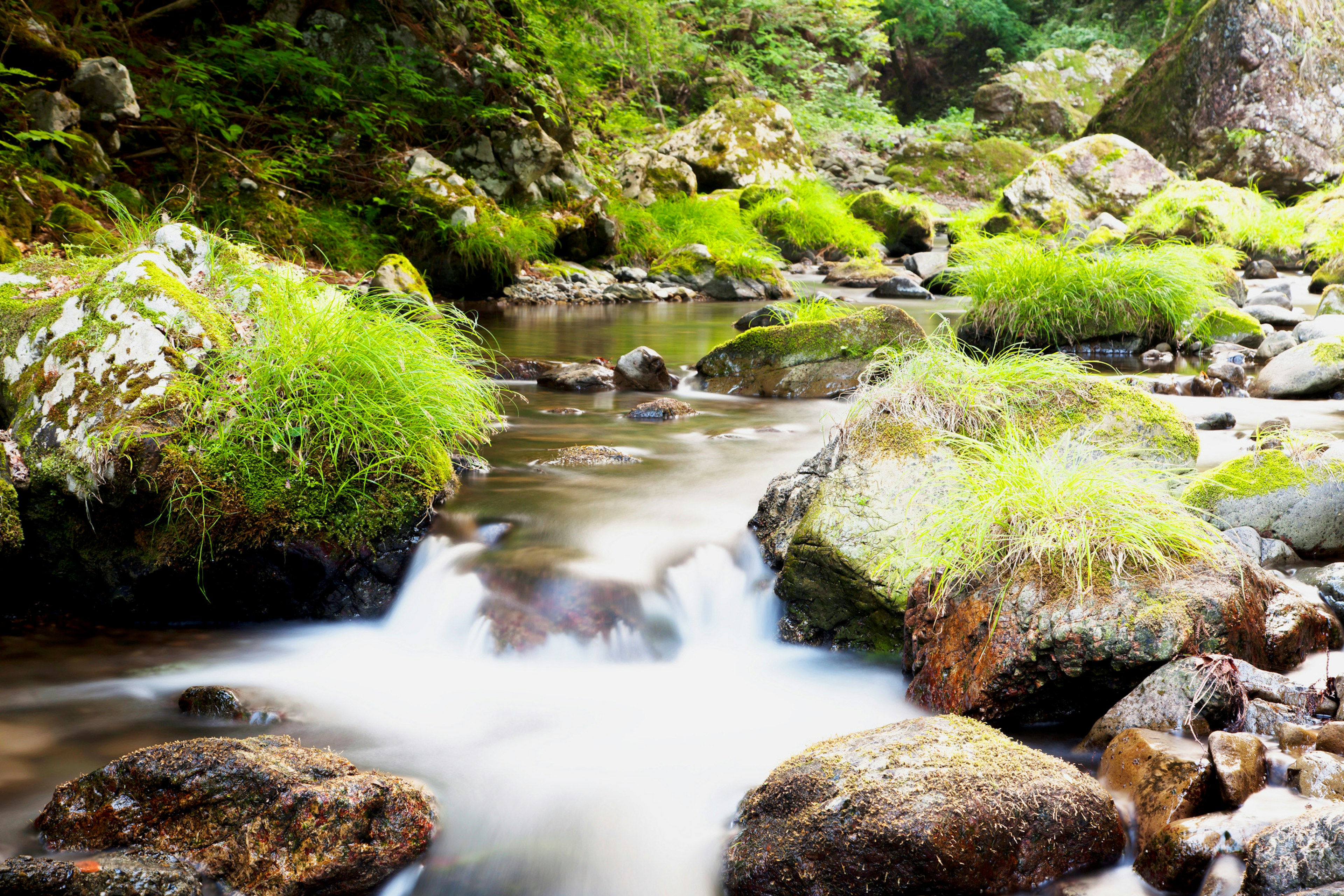 A tranquil stream surrounded by lush green grass and rocks