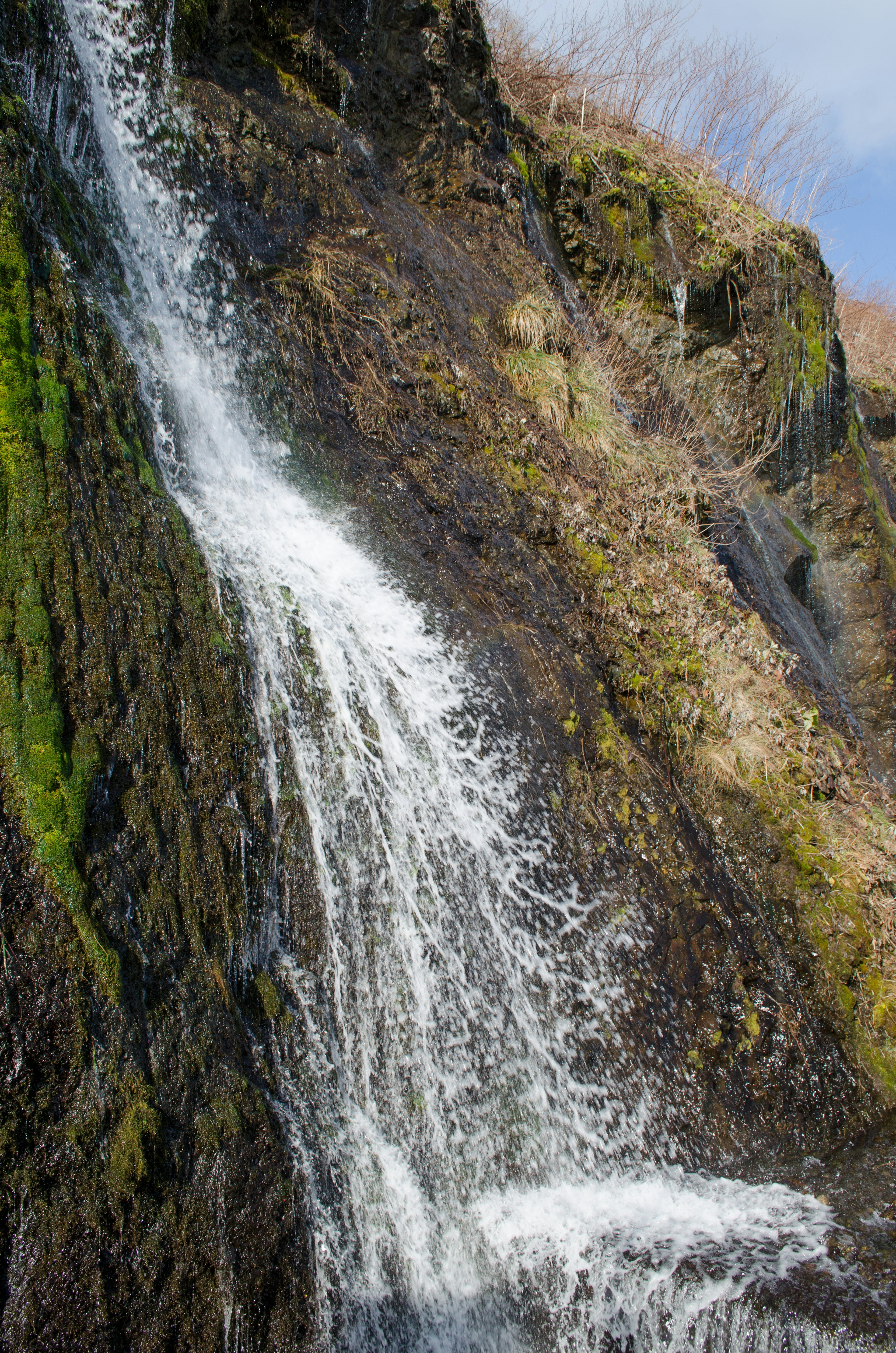 Bild eines Wasserfalls, der über eine moosbedeckte Felswand fließt