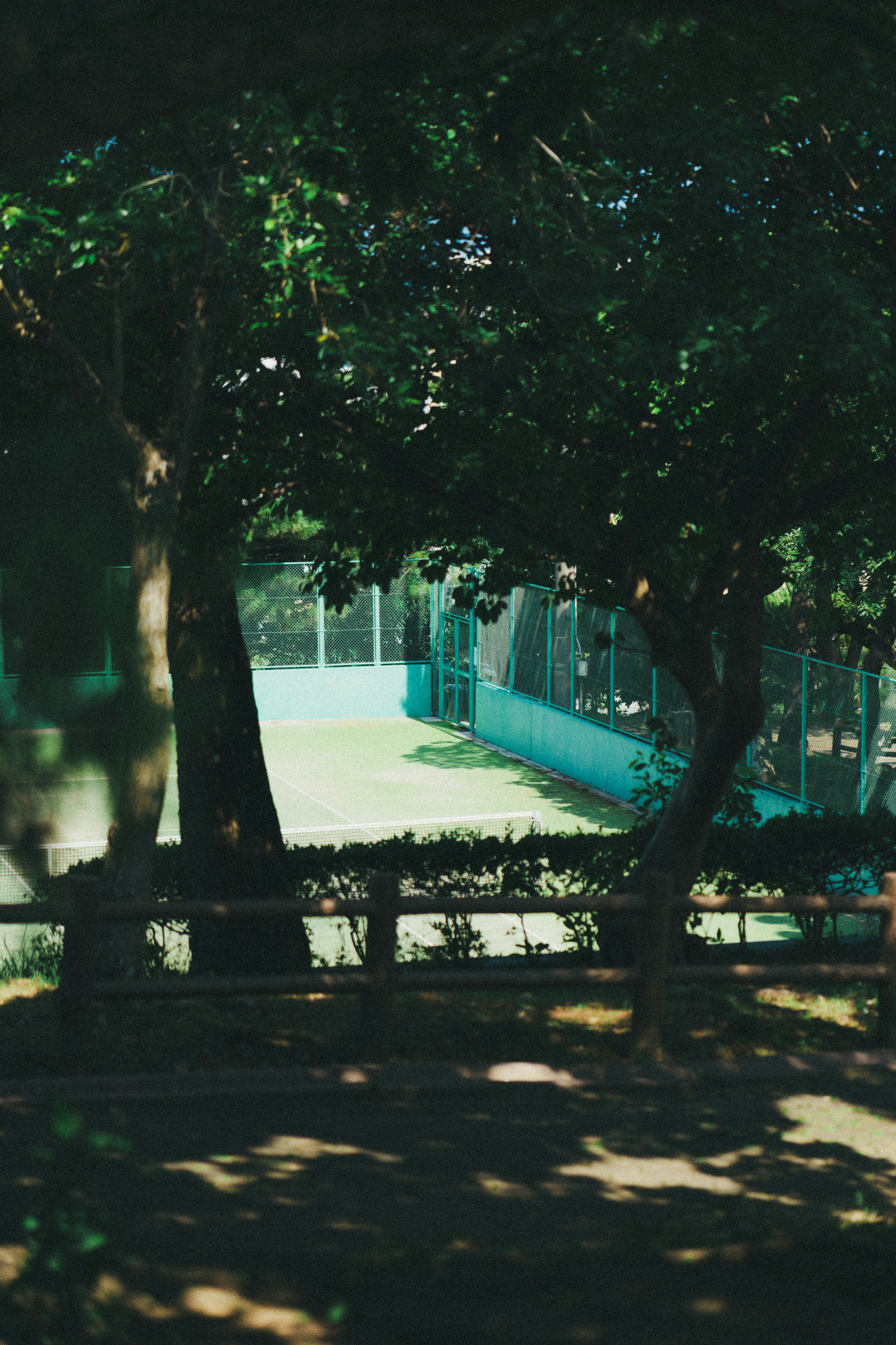 Park scene surrounded by green trees with a blue fence