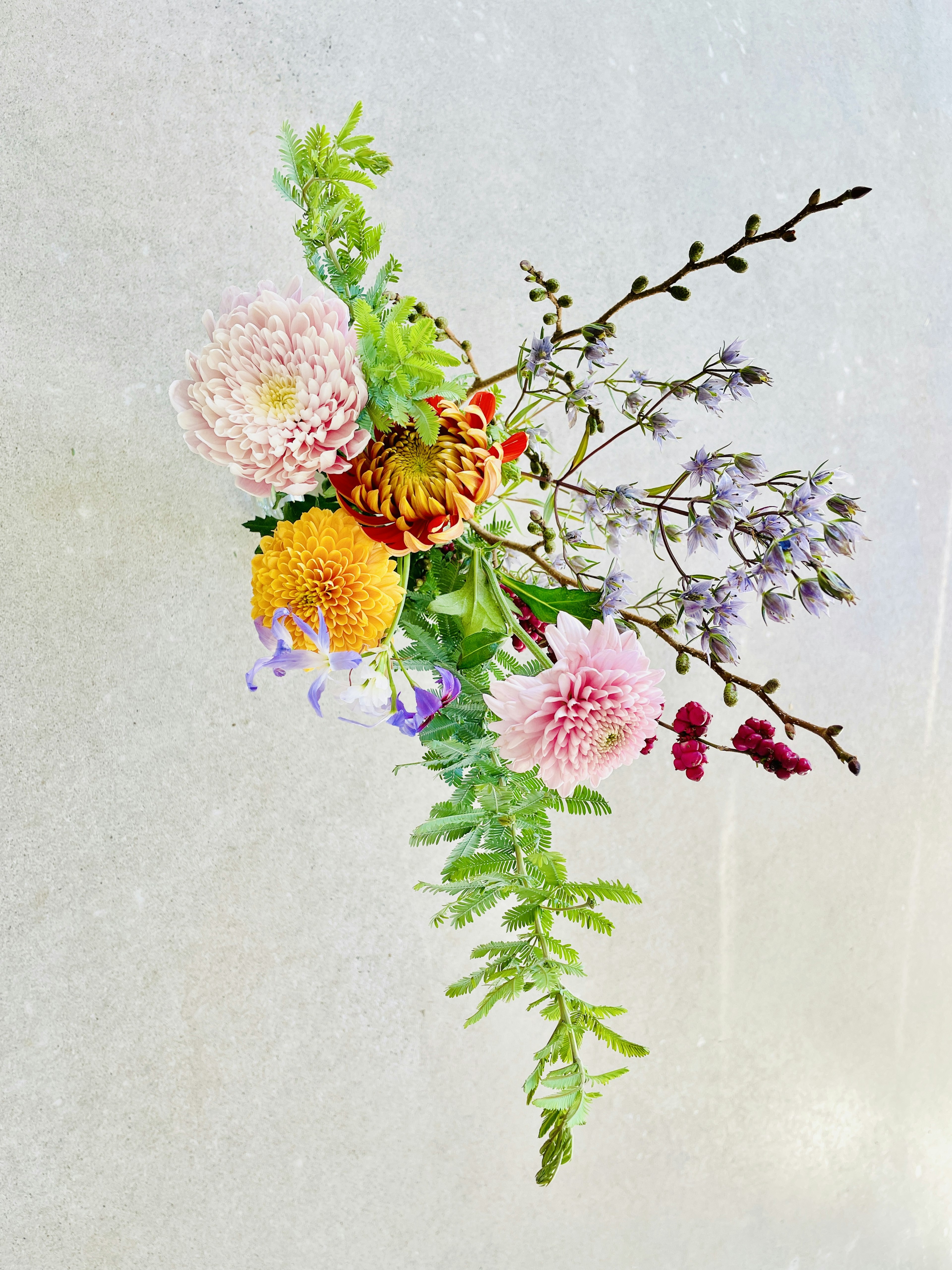 Colorful arrangement of flowers and leaves with unique textures