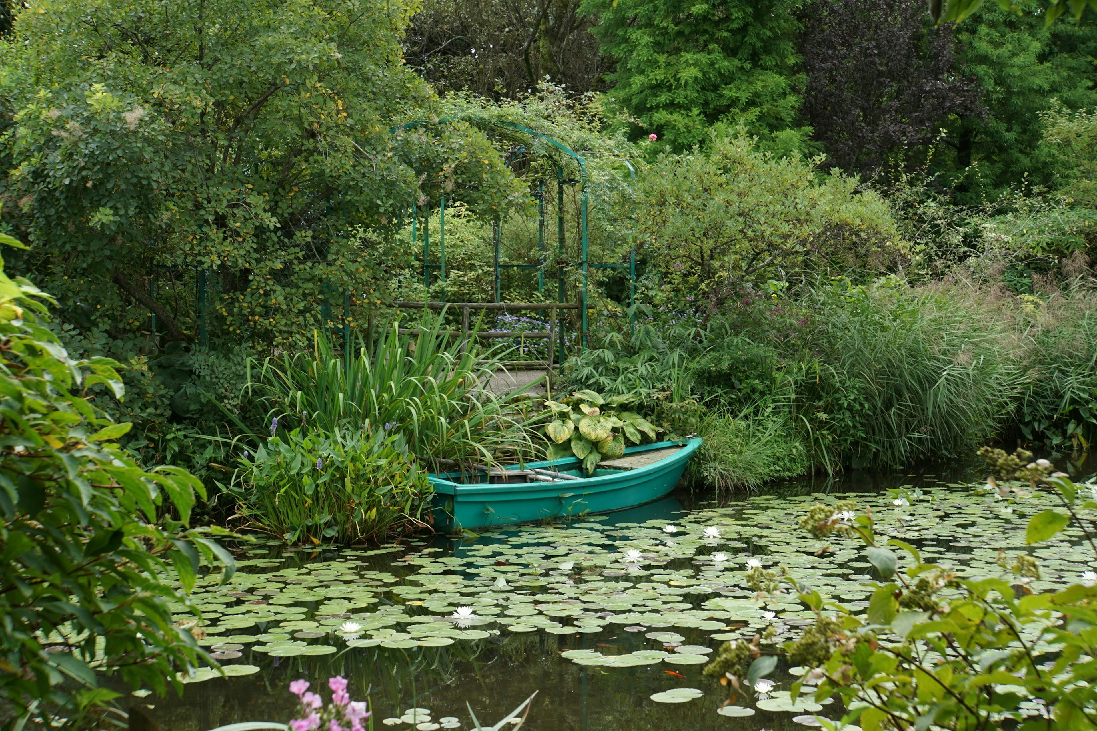 A serene pond surrounded by lush greenery featuring a blue boat