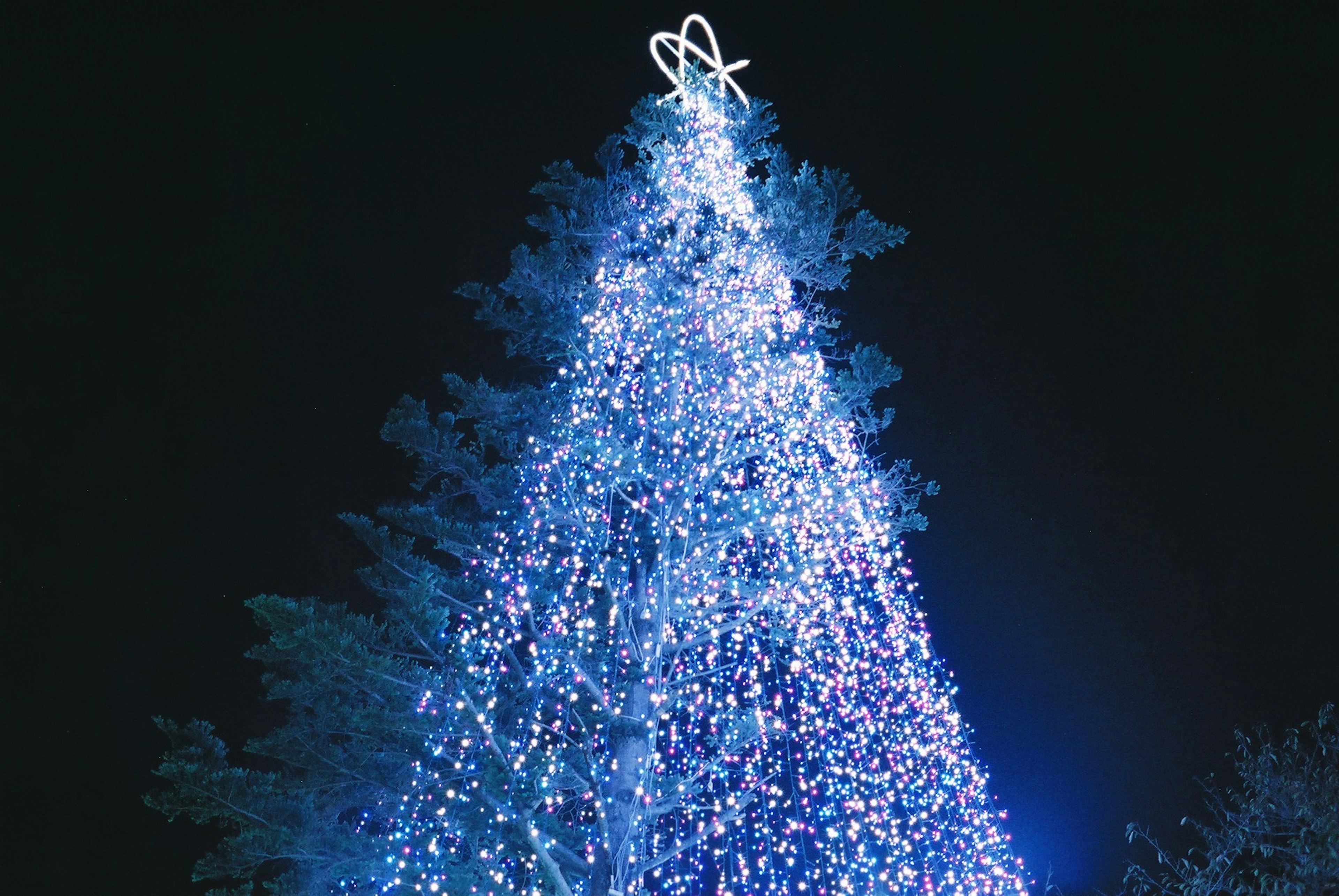 Un albero di Natale blu illuminato di notte con una decorazione in cima