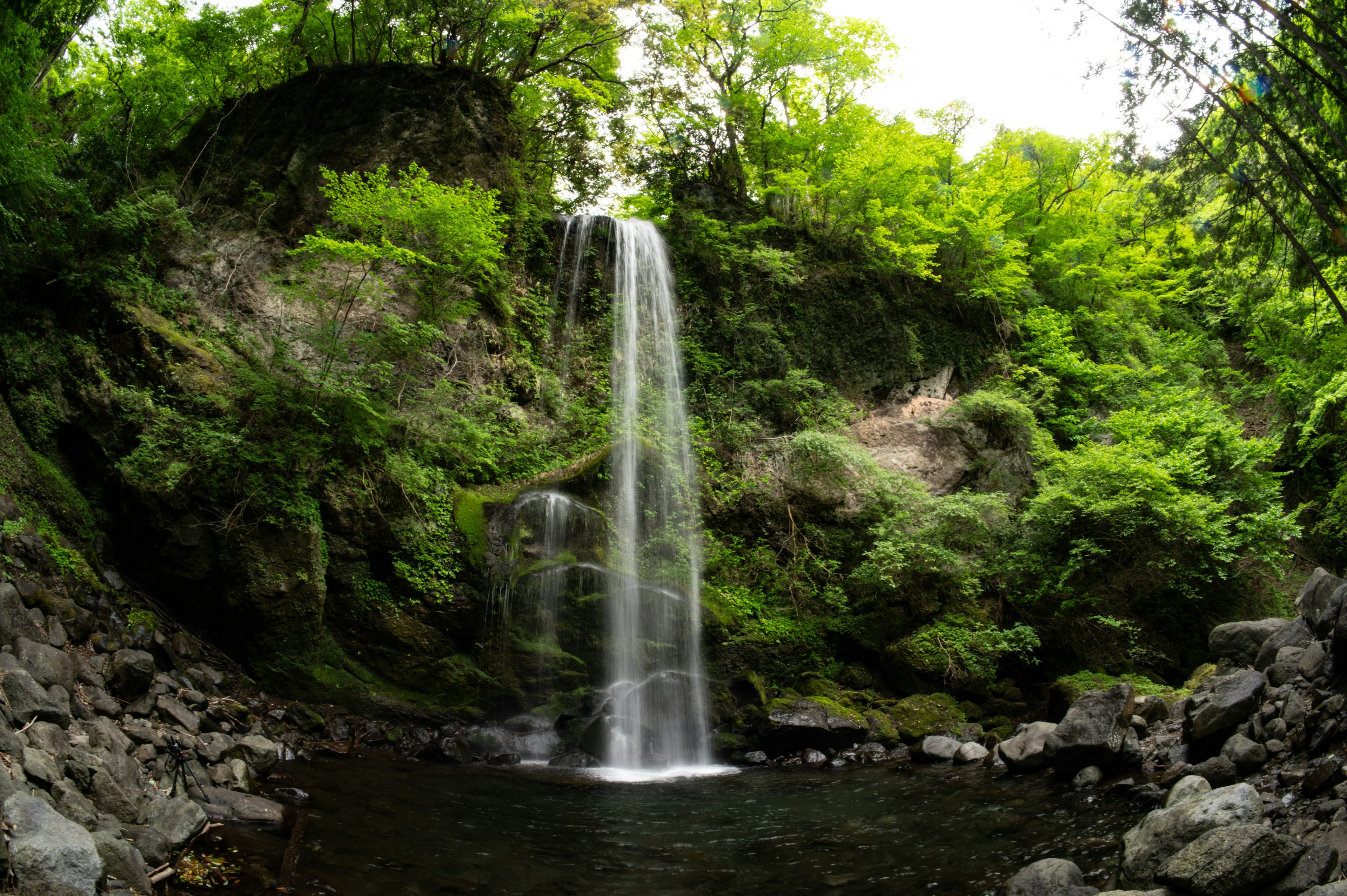 緑豊かな森林に囲まれた滝の美しい風景