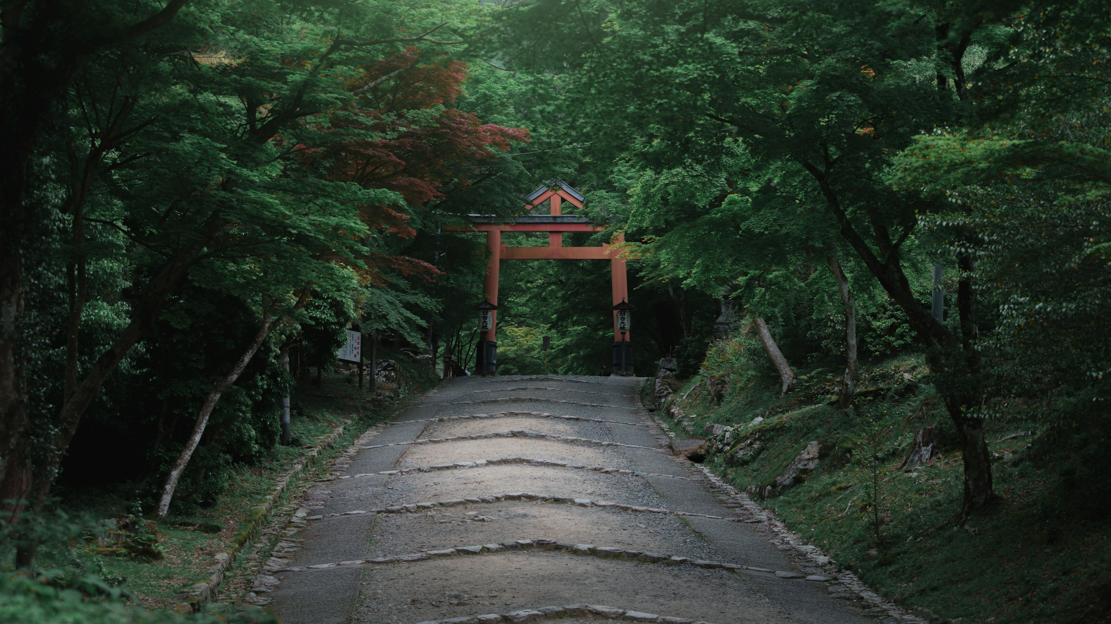 A scenic path surrounded by greenery with a red torii gate