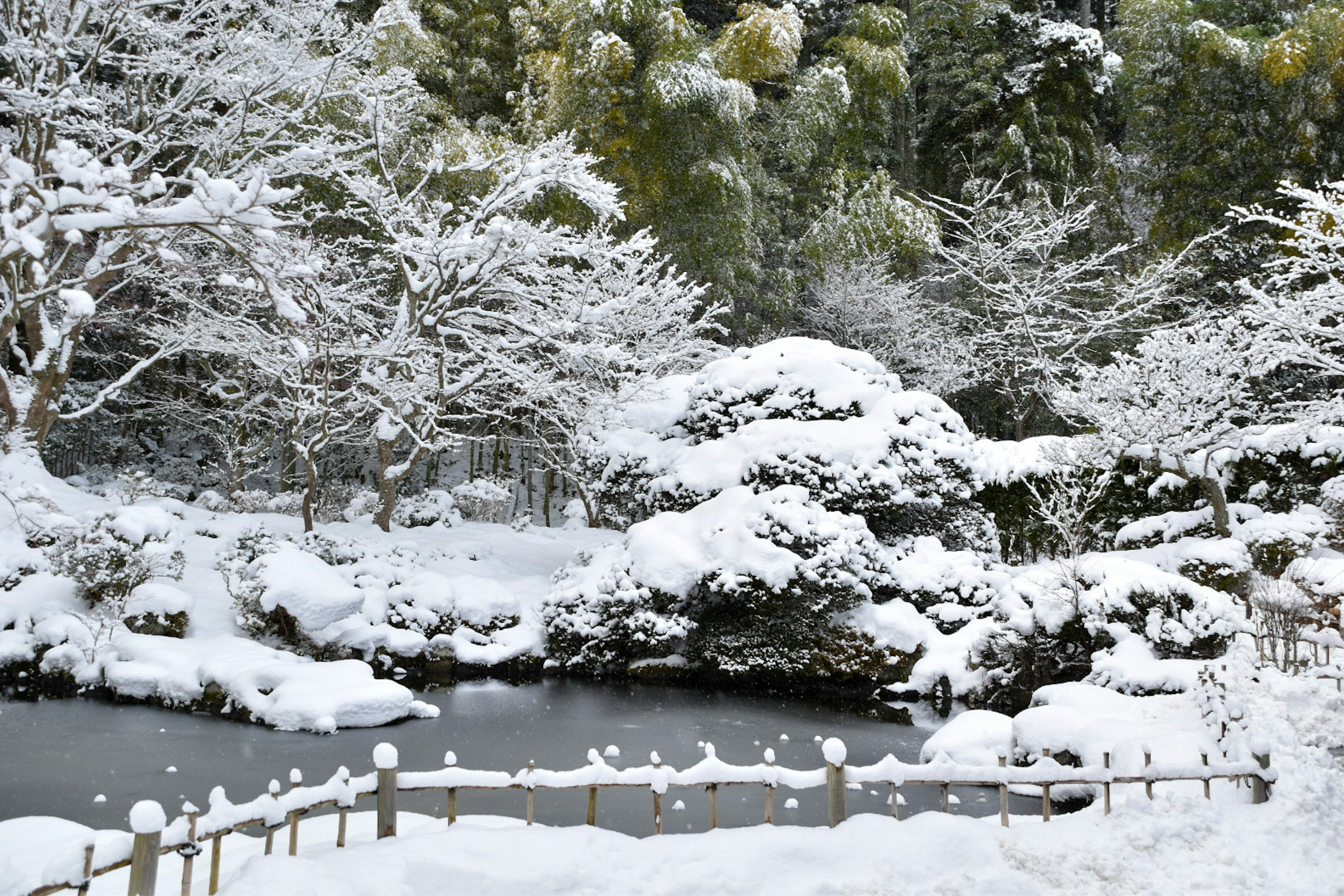 雪に覆われた庭園の風景 冷静な池と雪をかぶった木々