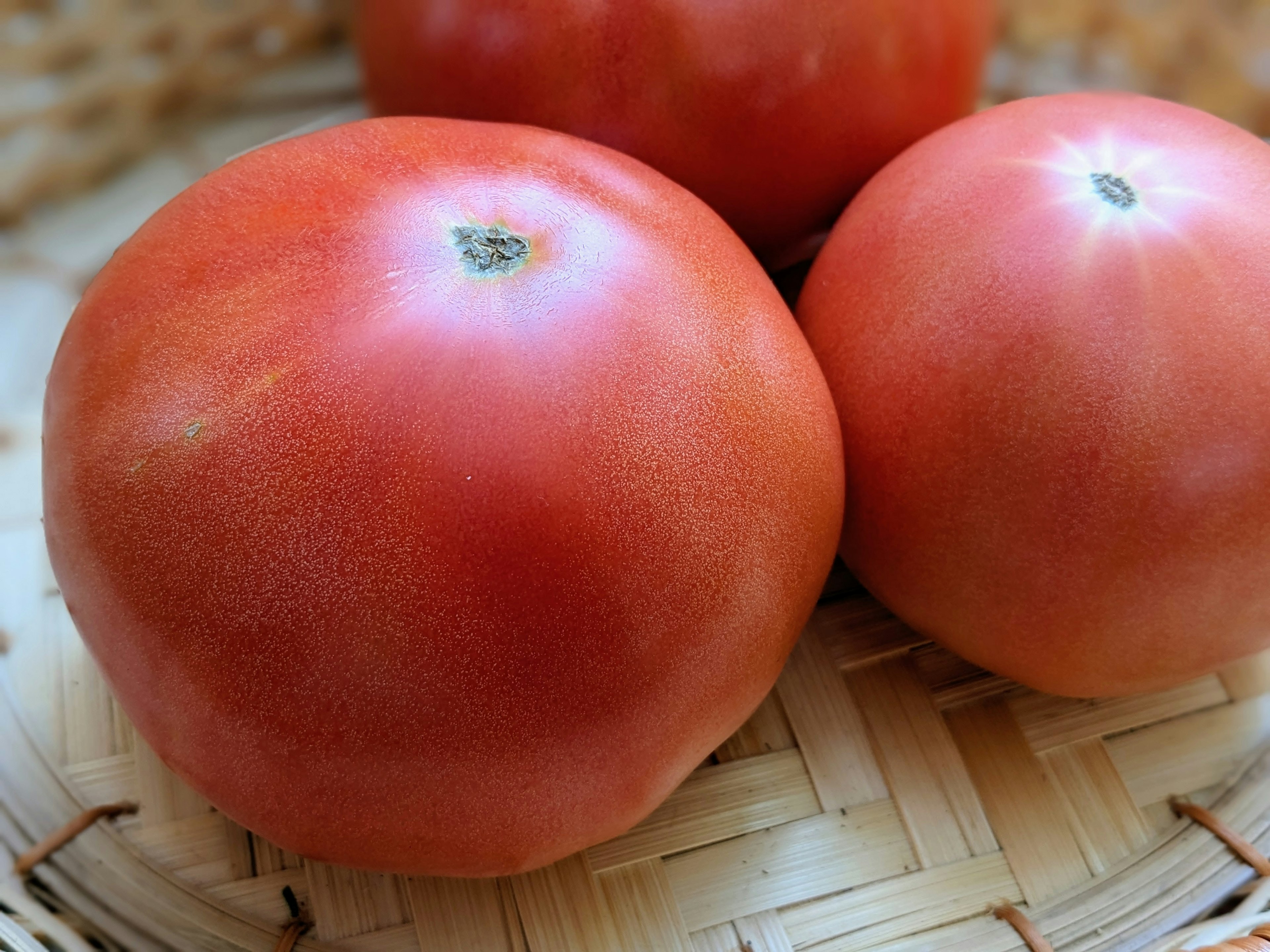 Fresh tomatoes placed in a woven basket