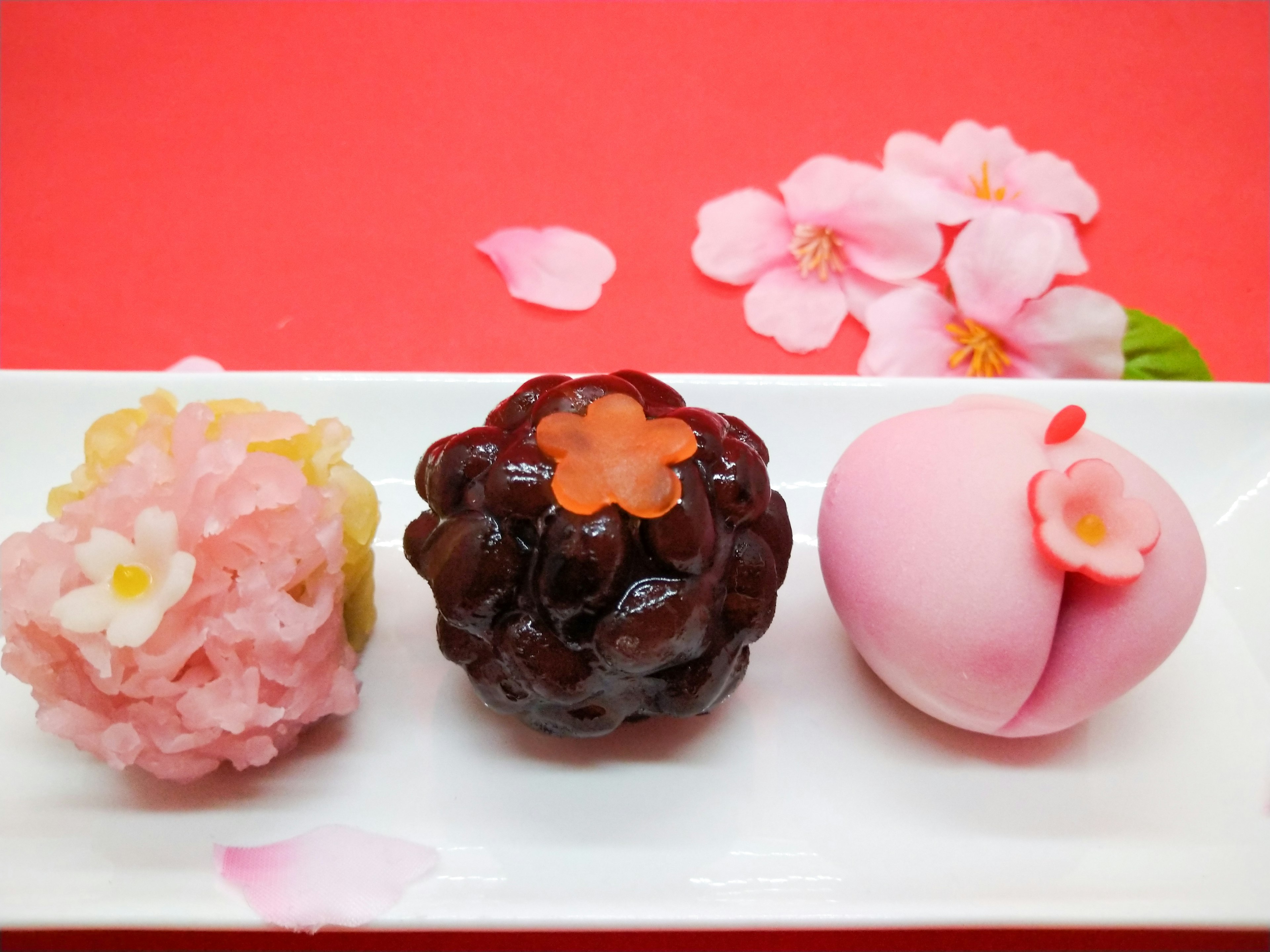 Three types of Japanese sweets arranged with cherry blossom petals