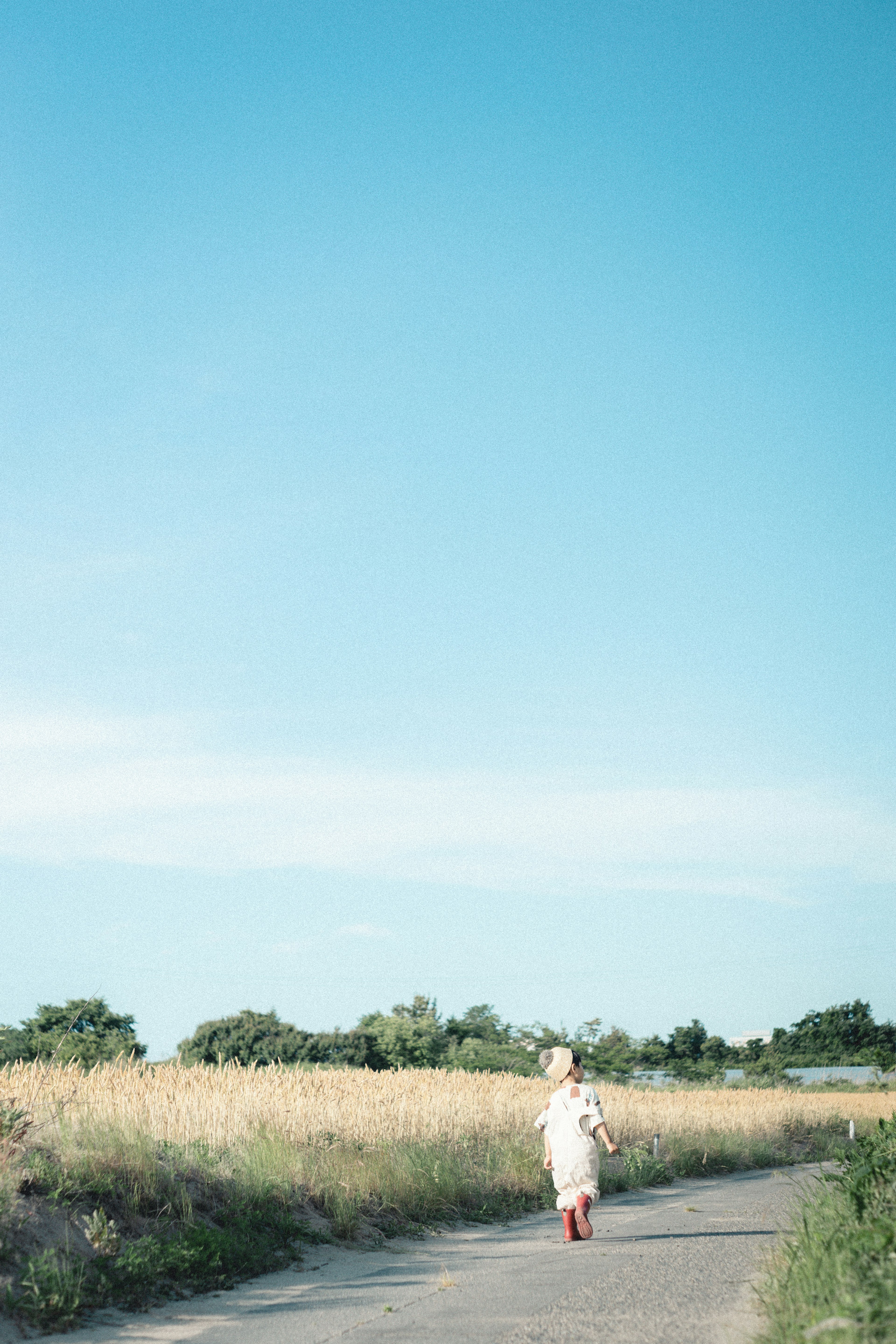 A child walking on a path under a blue sky surrounded by green fields