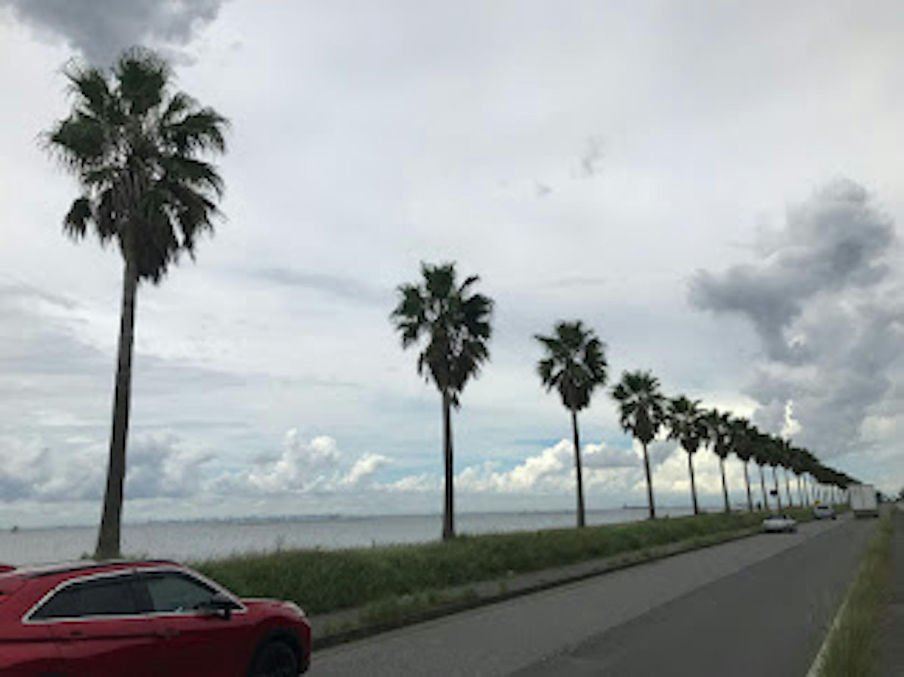 赤い車とヤシの木が並ぶ海岸の風景