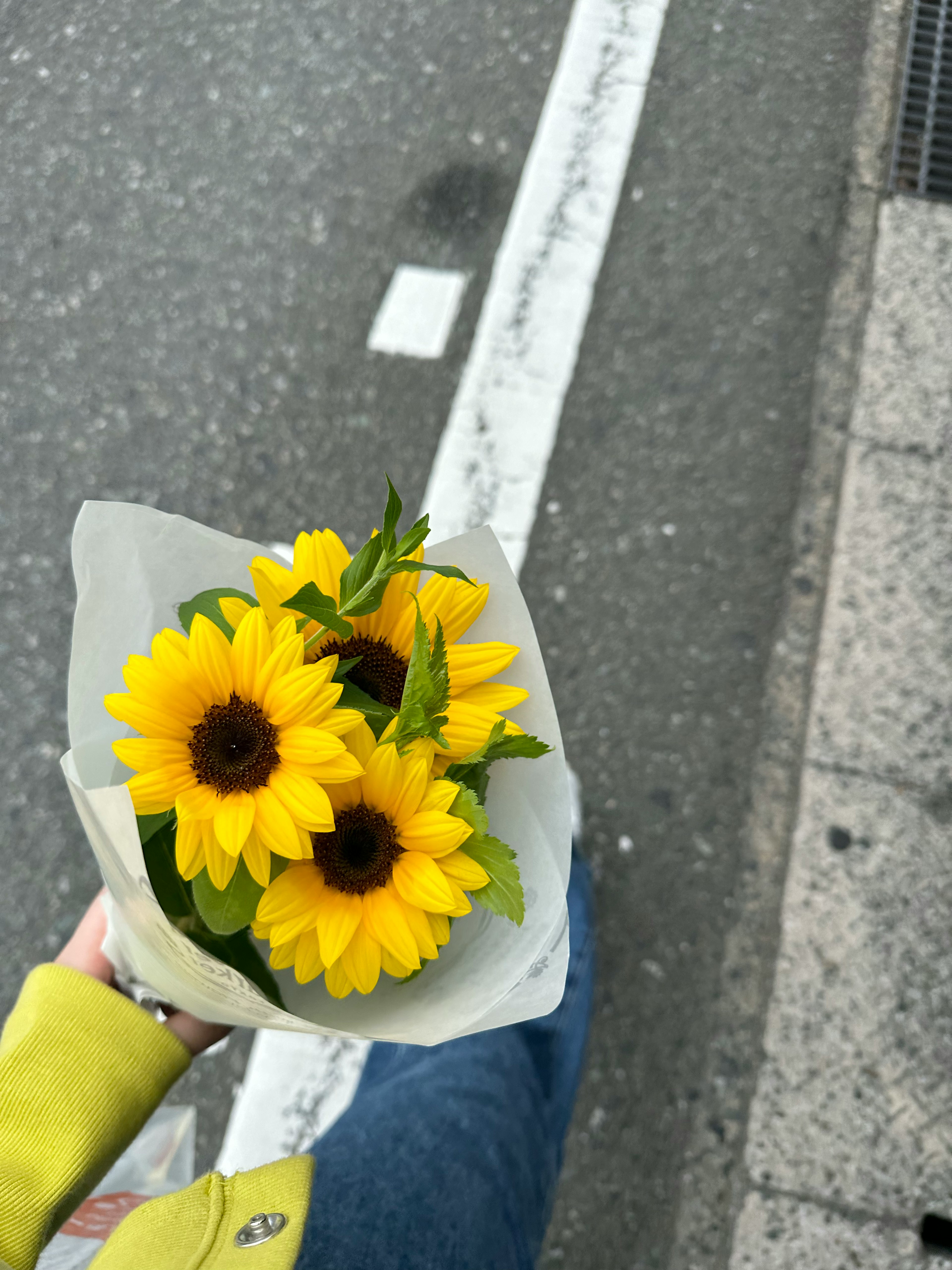 手に持ったひまわりの花束と周囲の道路