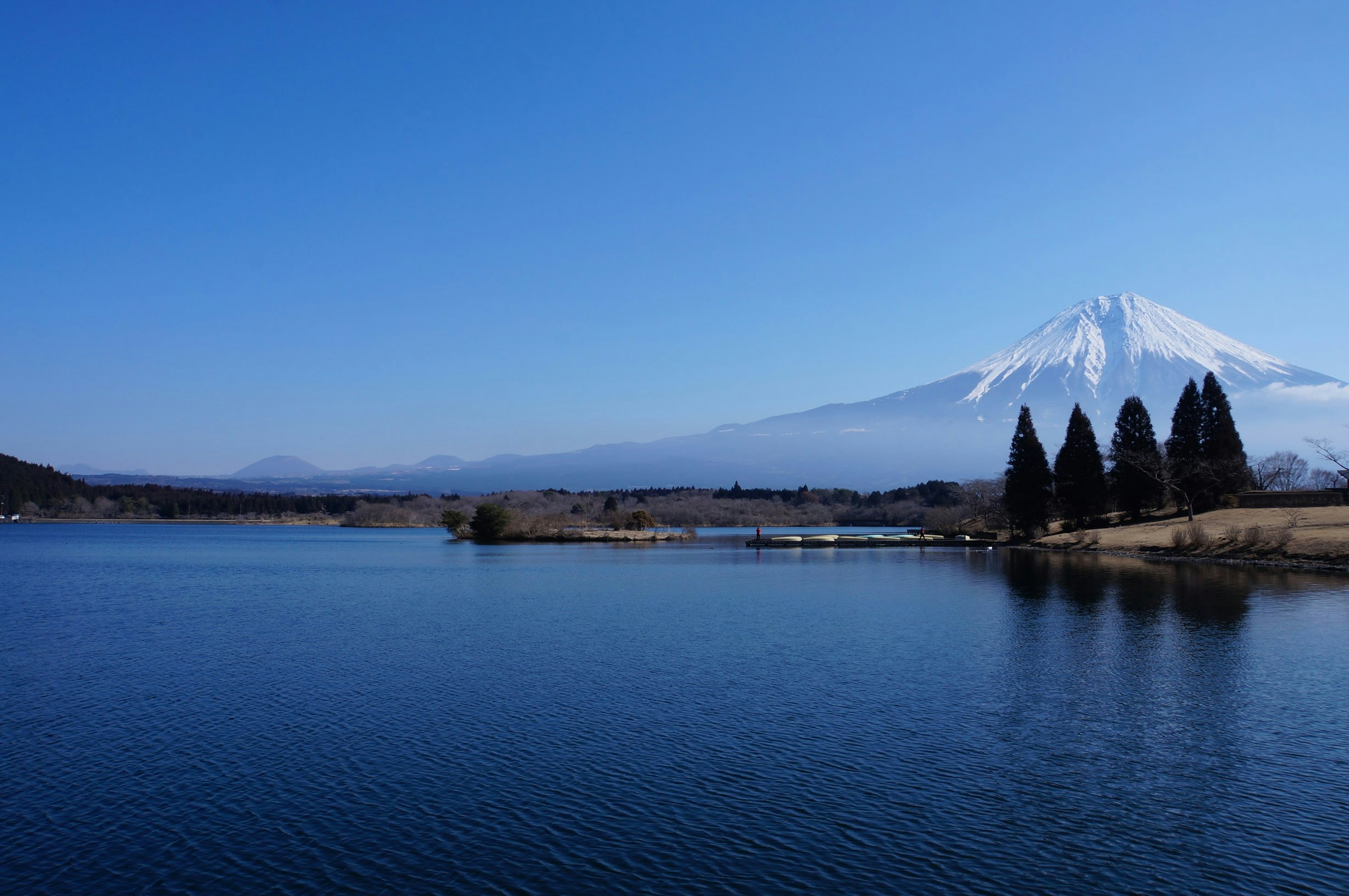 Vista panoramica del monte Fuji con cielo blu chiaro lago e alberi in primo piano