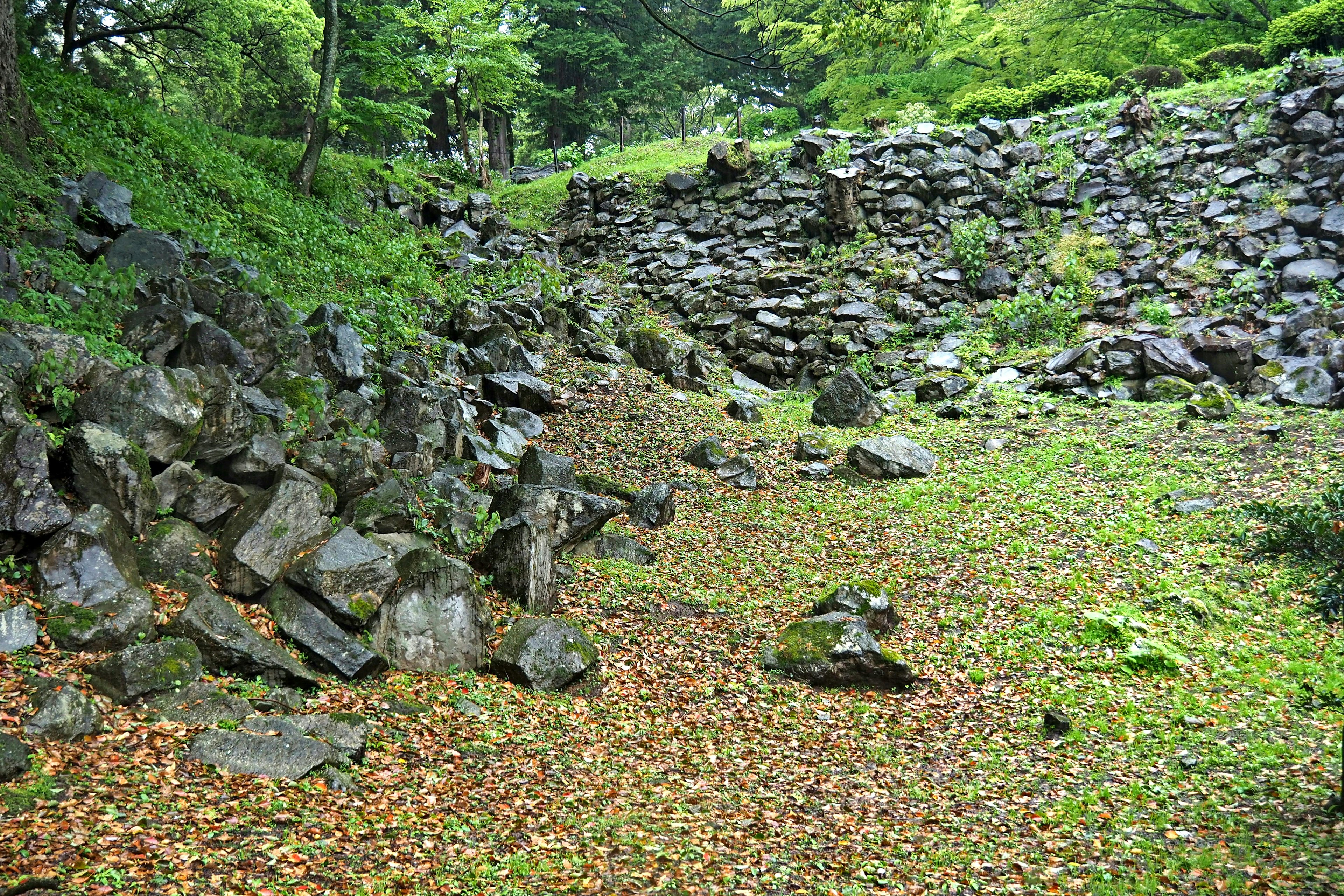 Rovine di pietra coperte di vegetazione con natura circostante