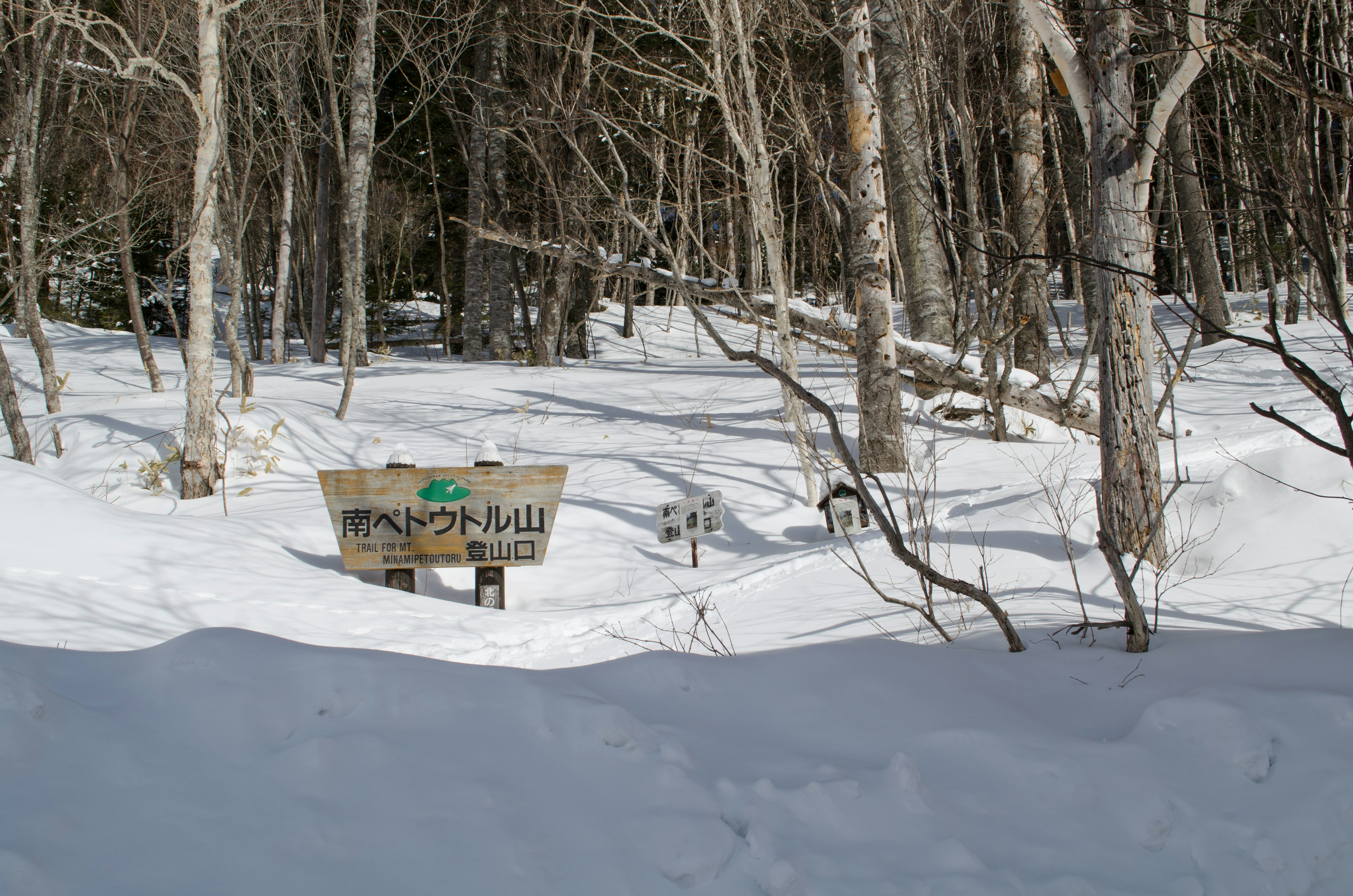 Señal de sendero en un bosque nevado