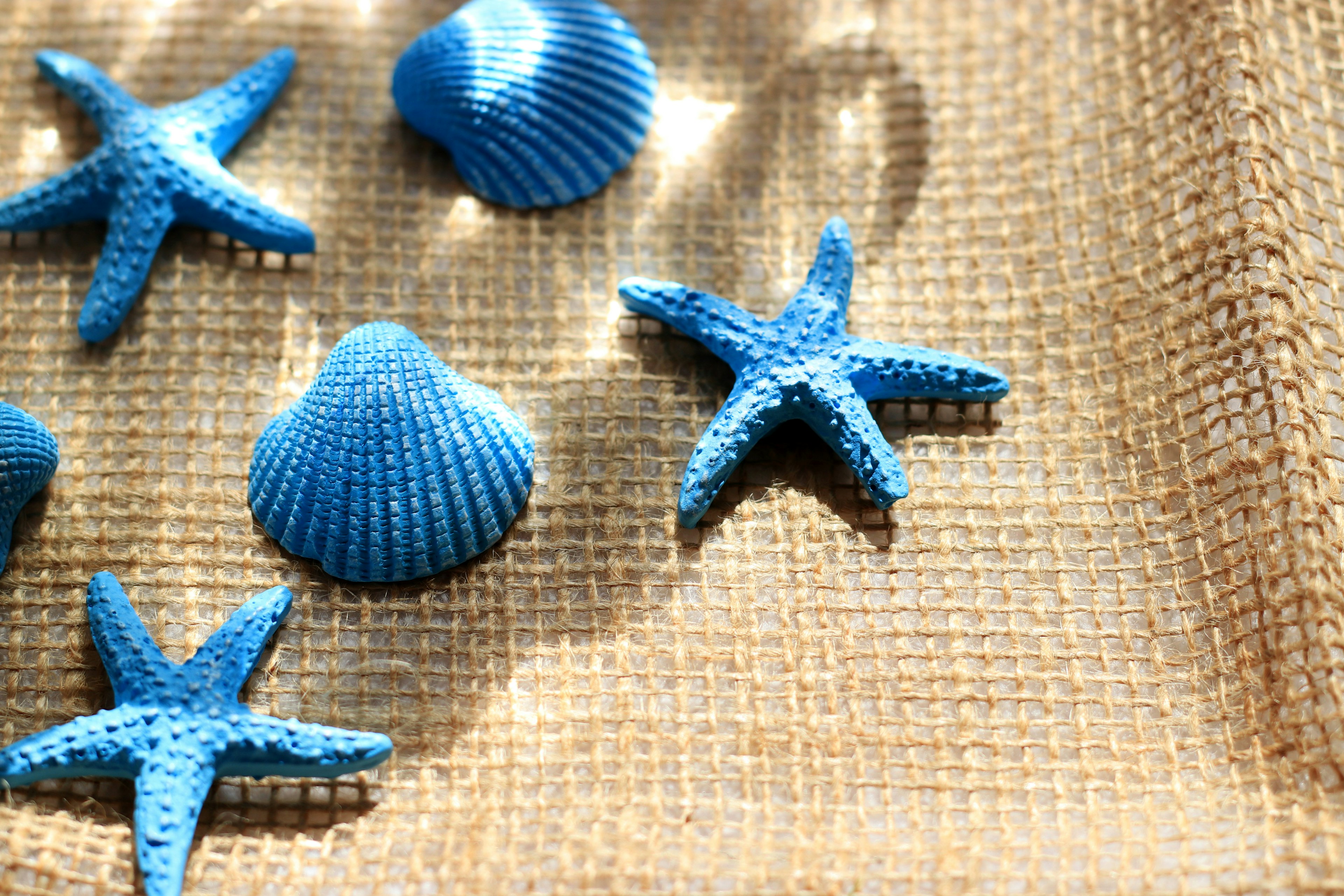 Blue shells and starfish arranged on burlap fabric