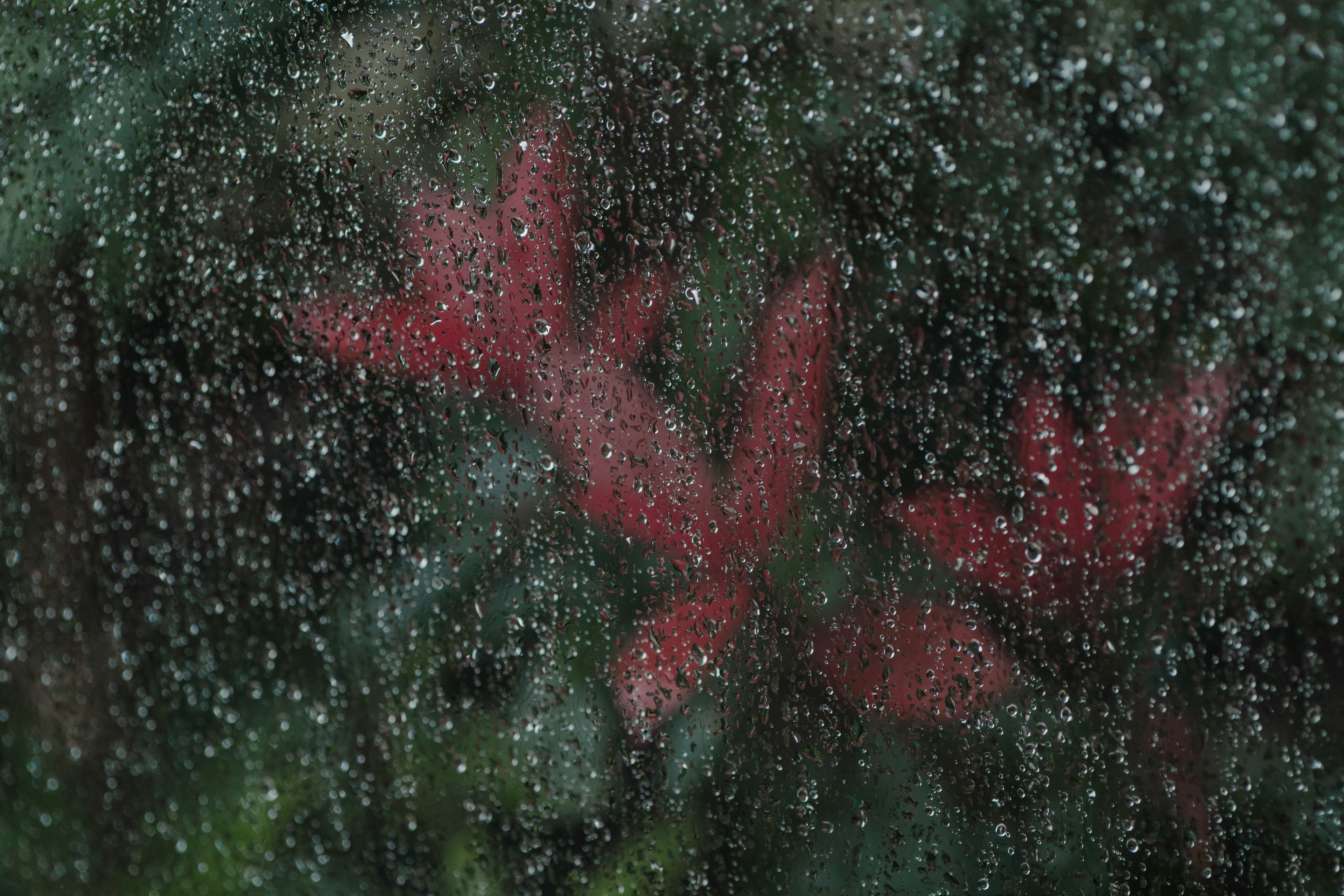 Image de verre de fenêtre humide montrant des feuilles rouges floues sous la pluie