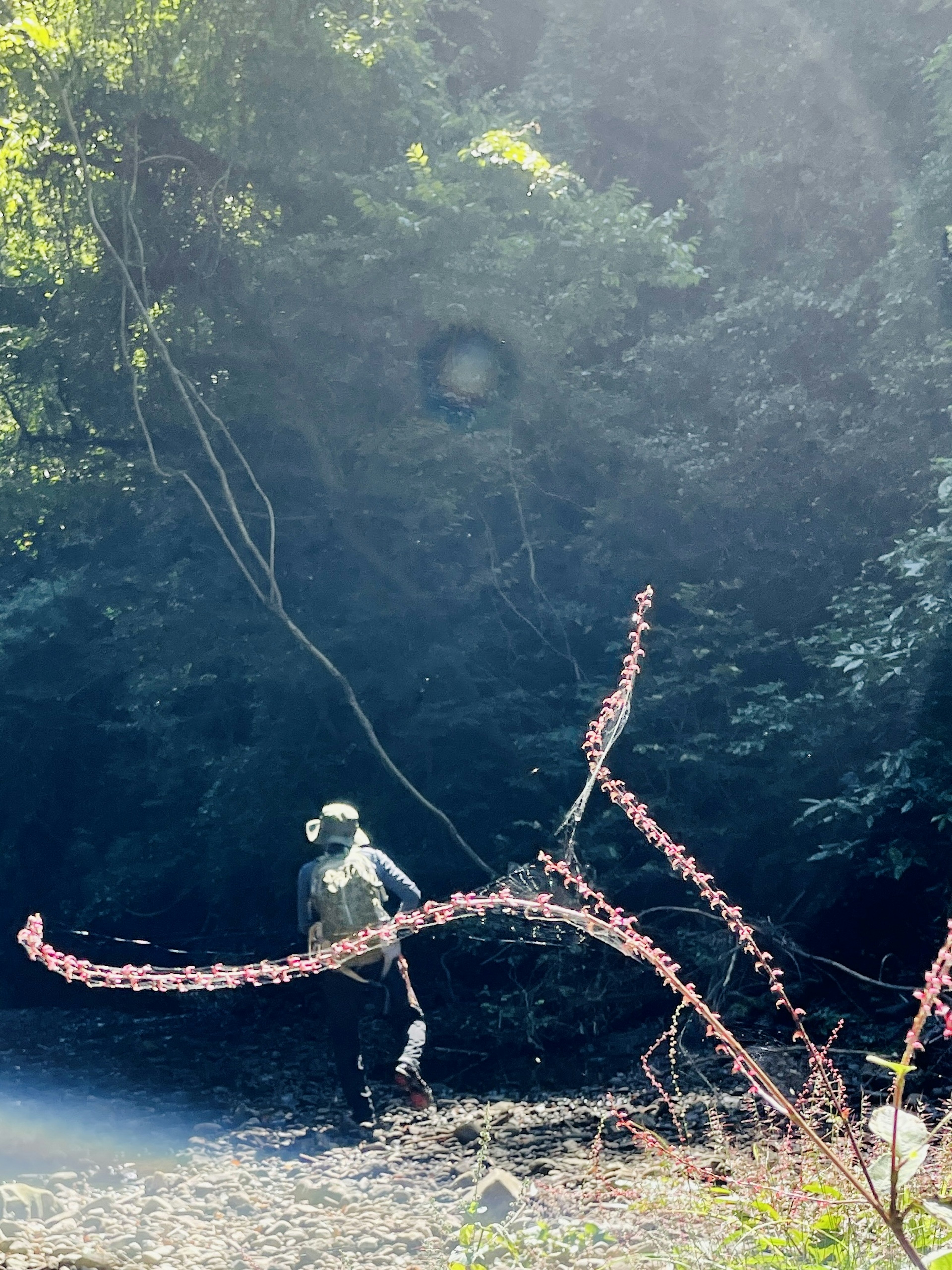 川辺で作業する人と緑の木々の背景