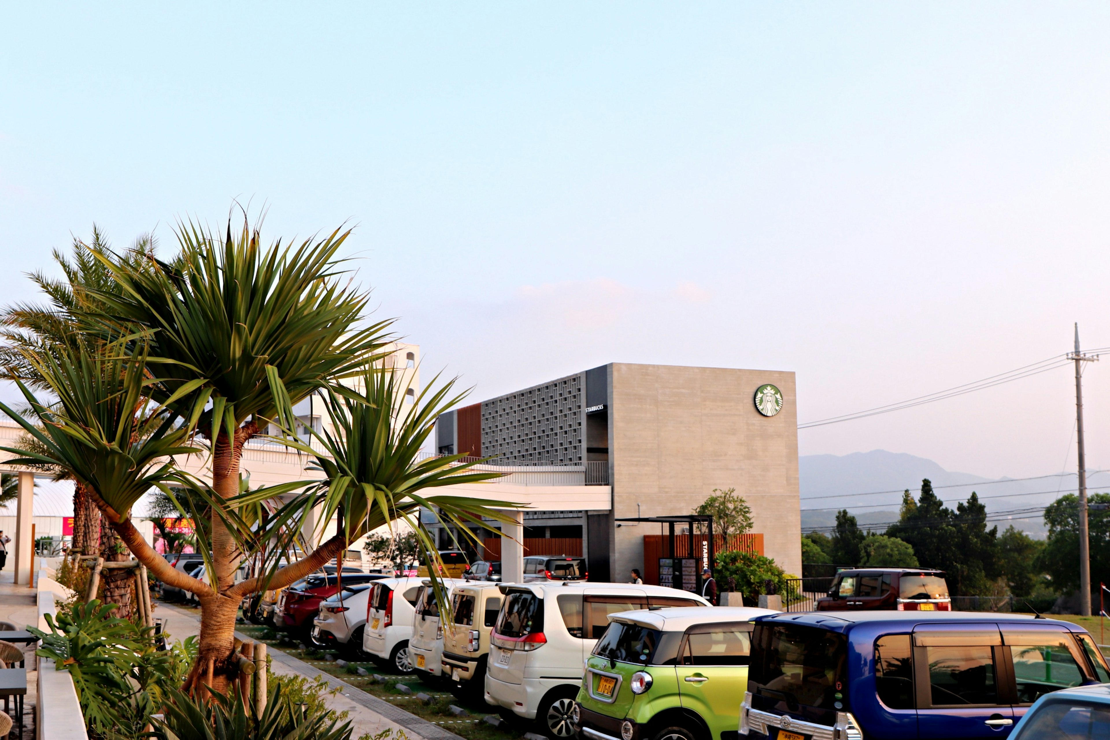 Exterior de un edificio moderno con coches coloridos en el estacionamiento y plantas verdes