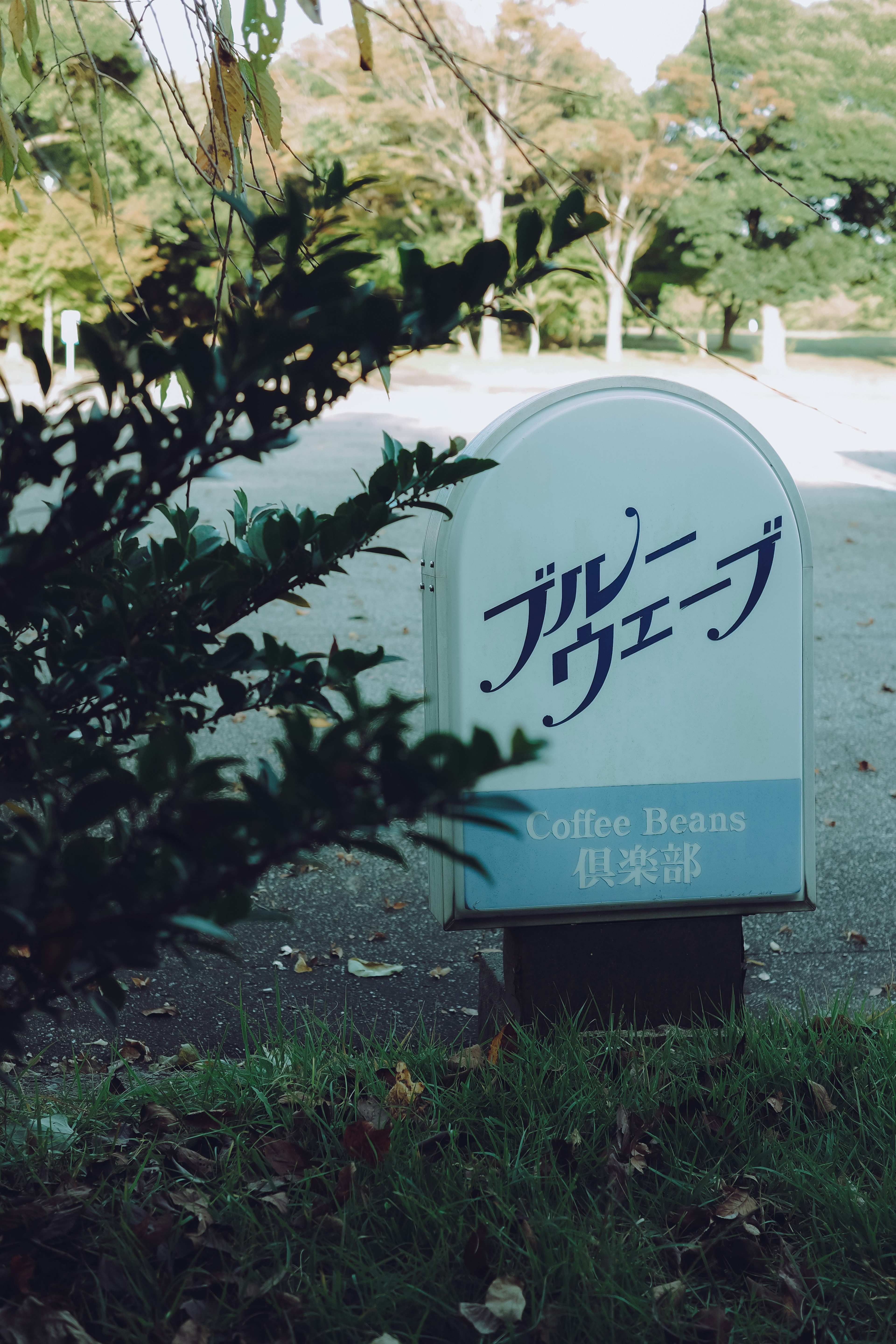 Blue Wave sign next to green plants